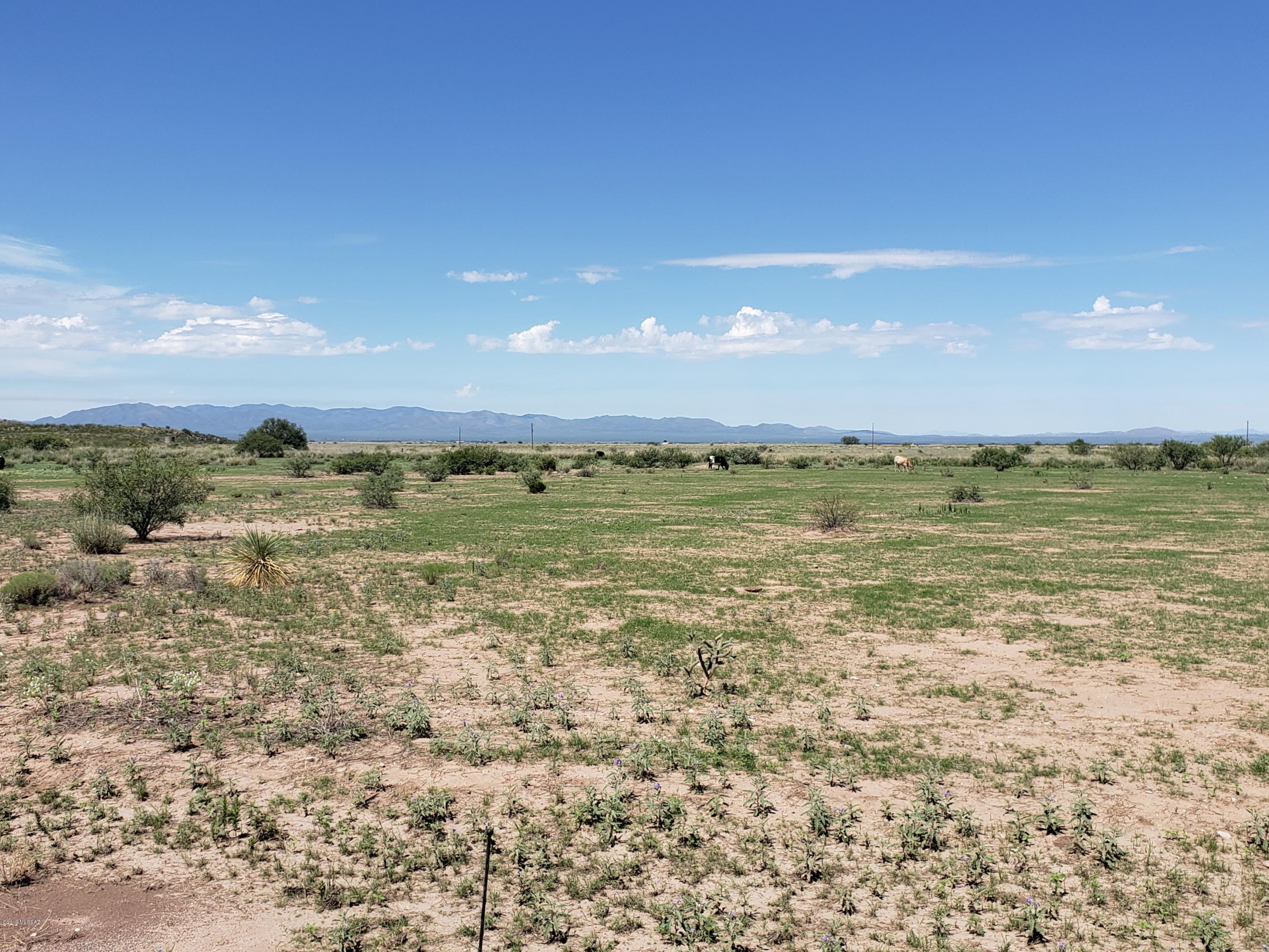 Out Of Pima County - Land