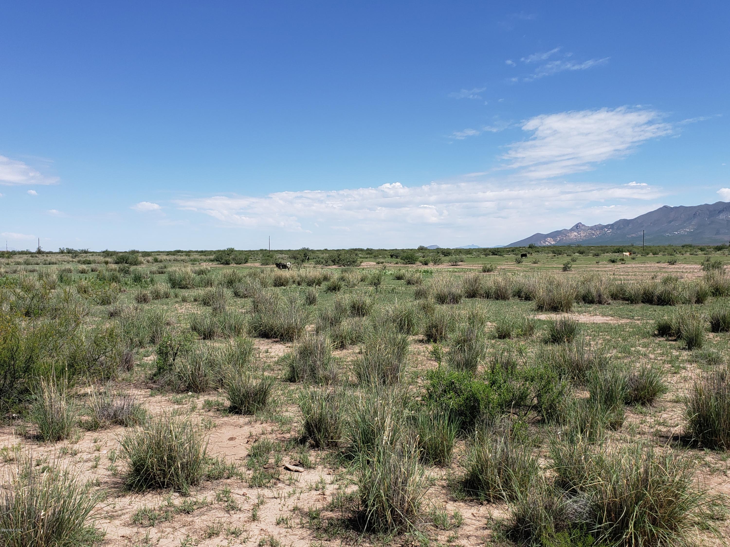 Out Of Pima County - Land
