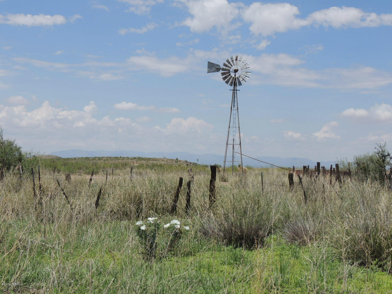 Out Of Pima County - Land