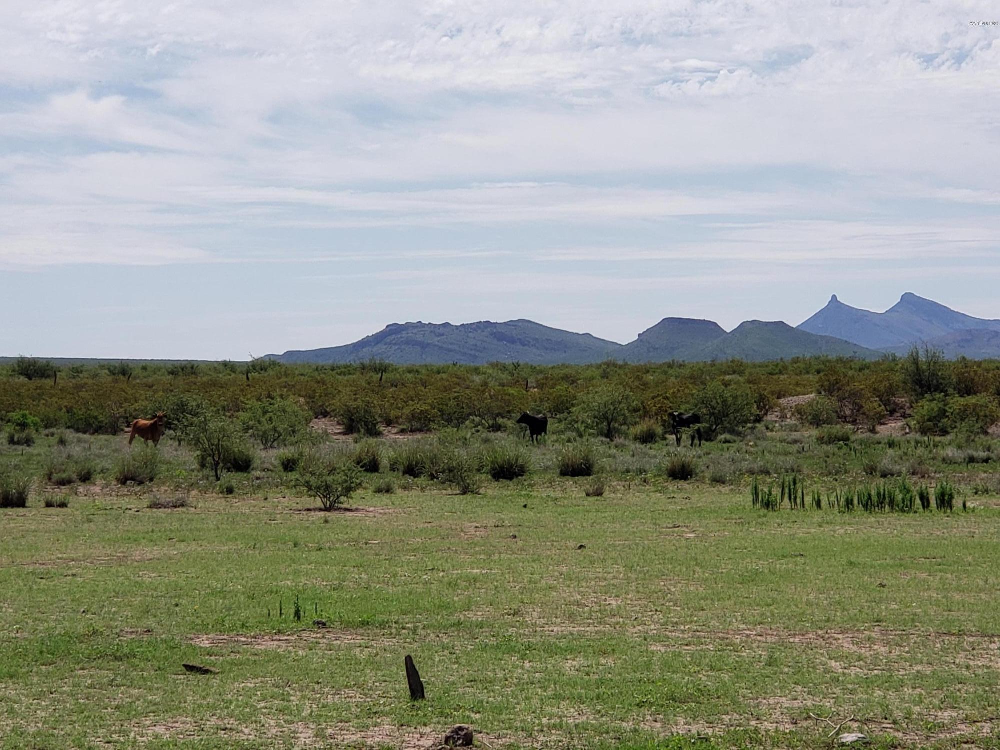 Out Of Pima County - Land