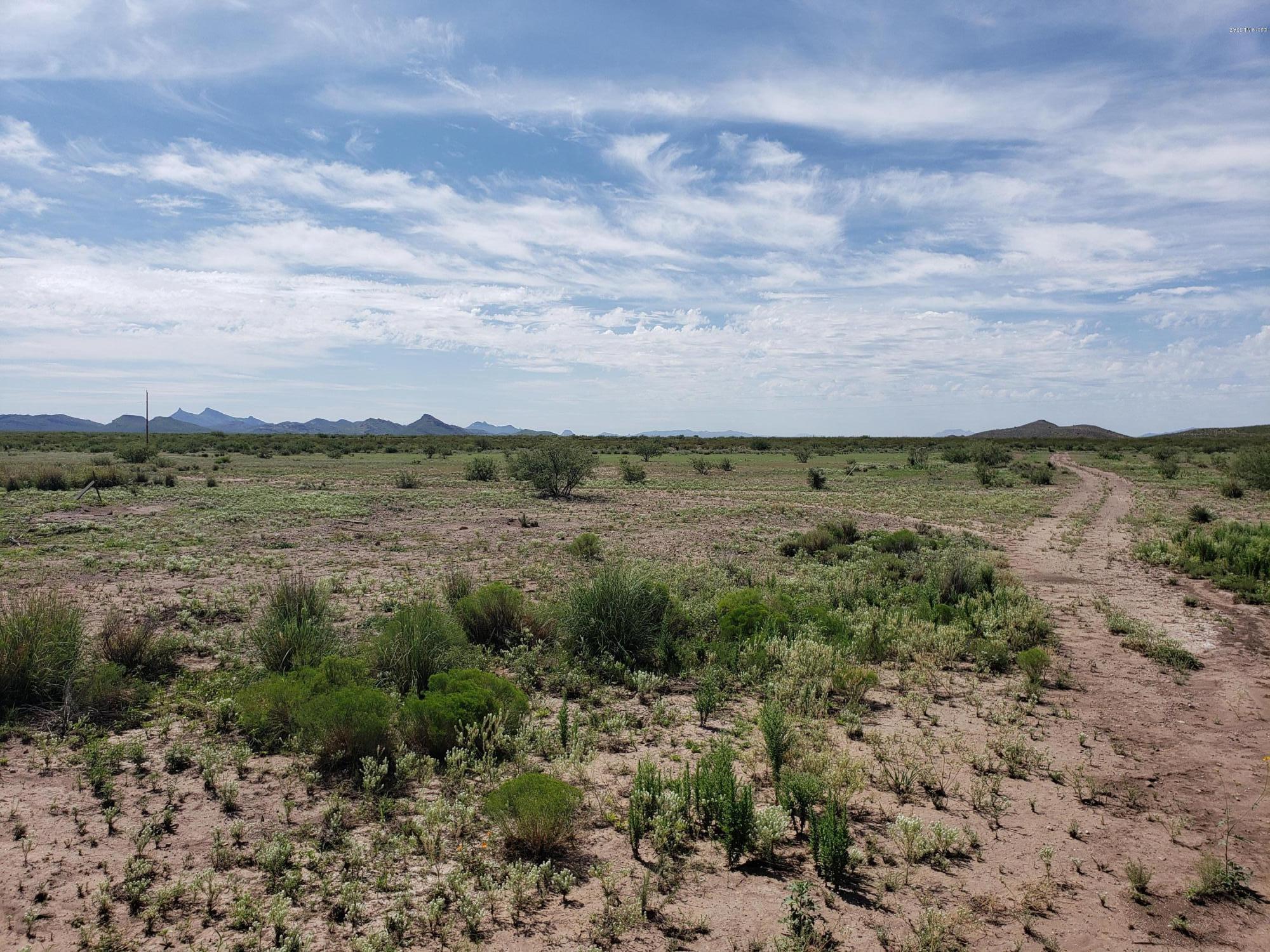 Out Of Pima County - Land