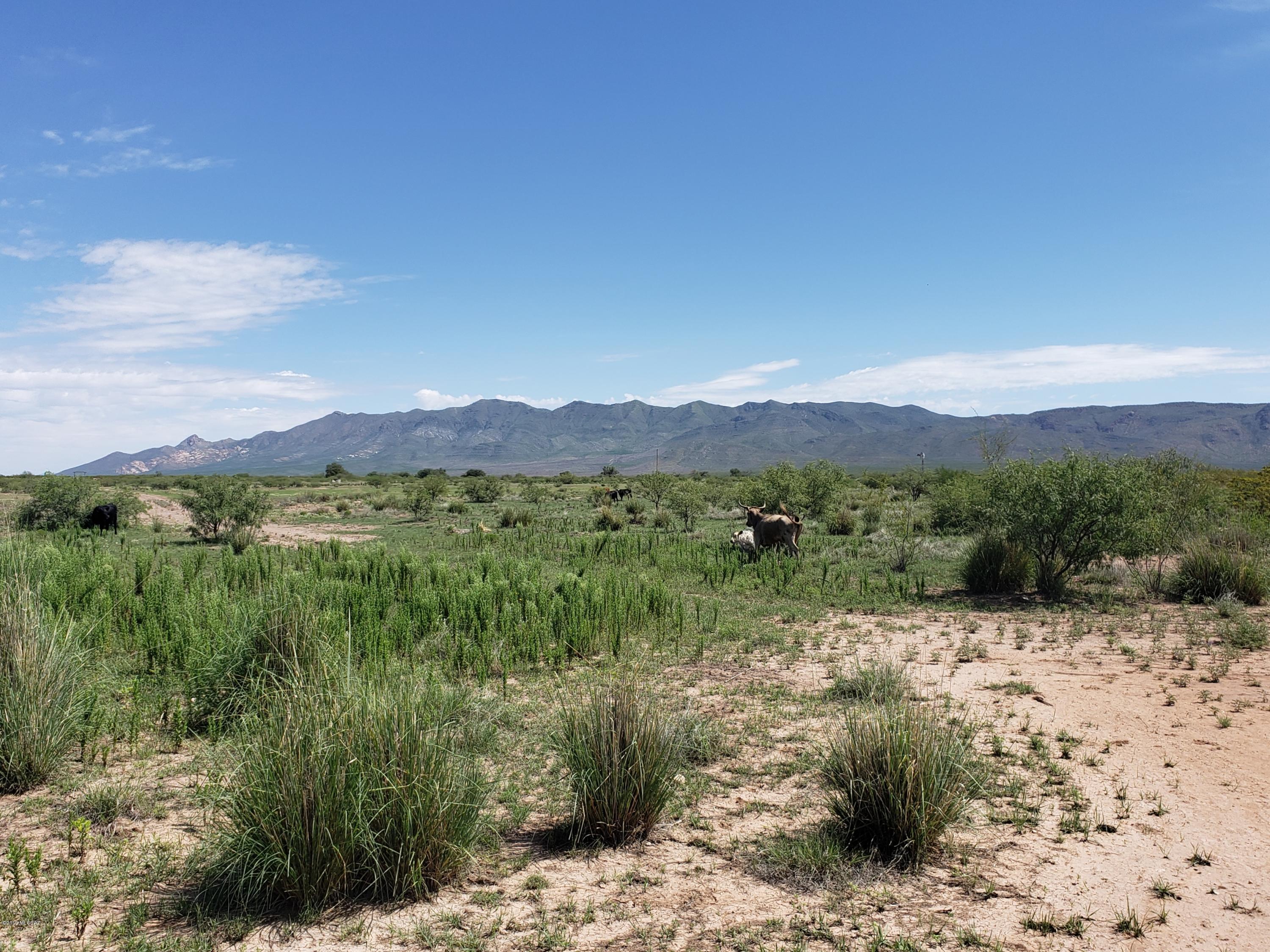 Out Of Pima County - Land