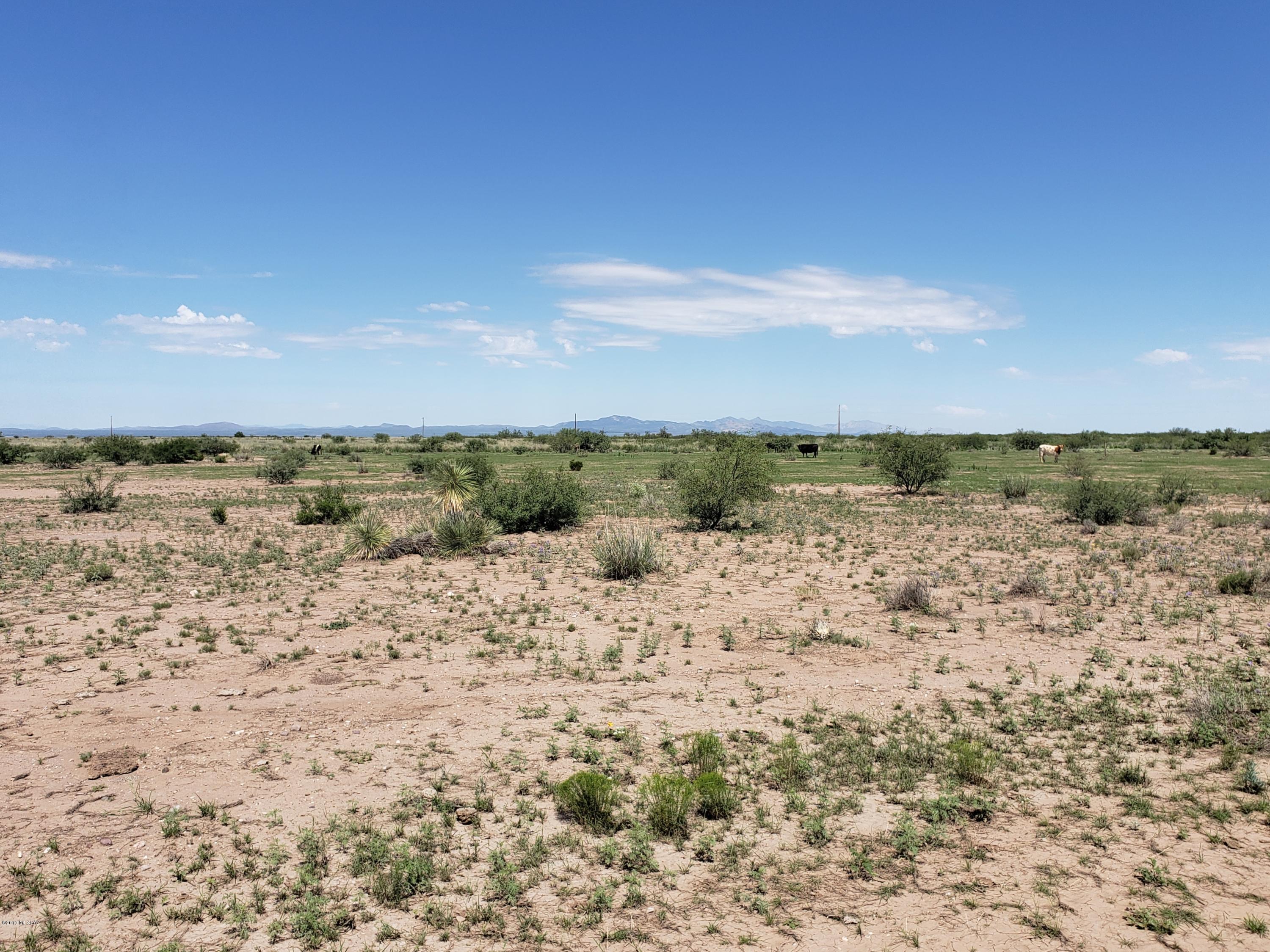 Out Of Pima County - Land