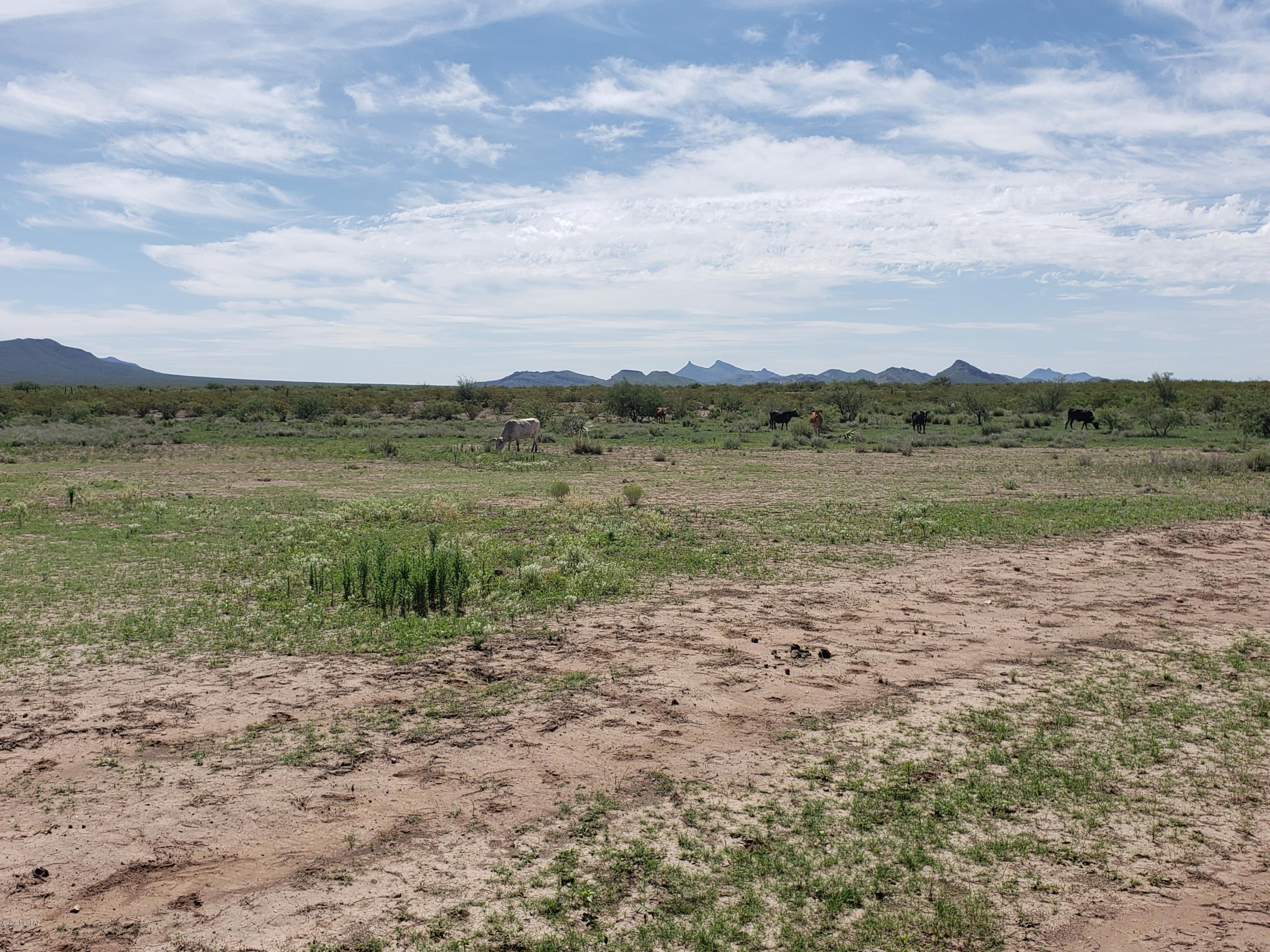 Out Of Pima County - Land