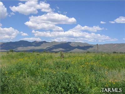 Out Of Pima County - Land