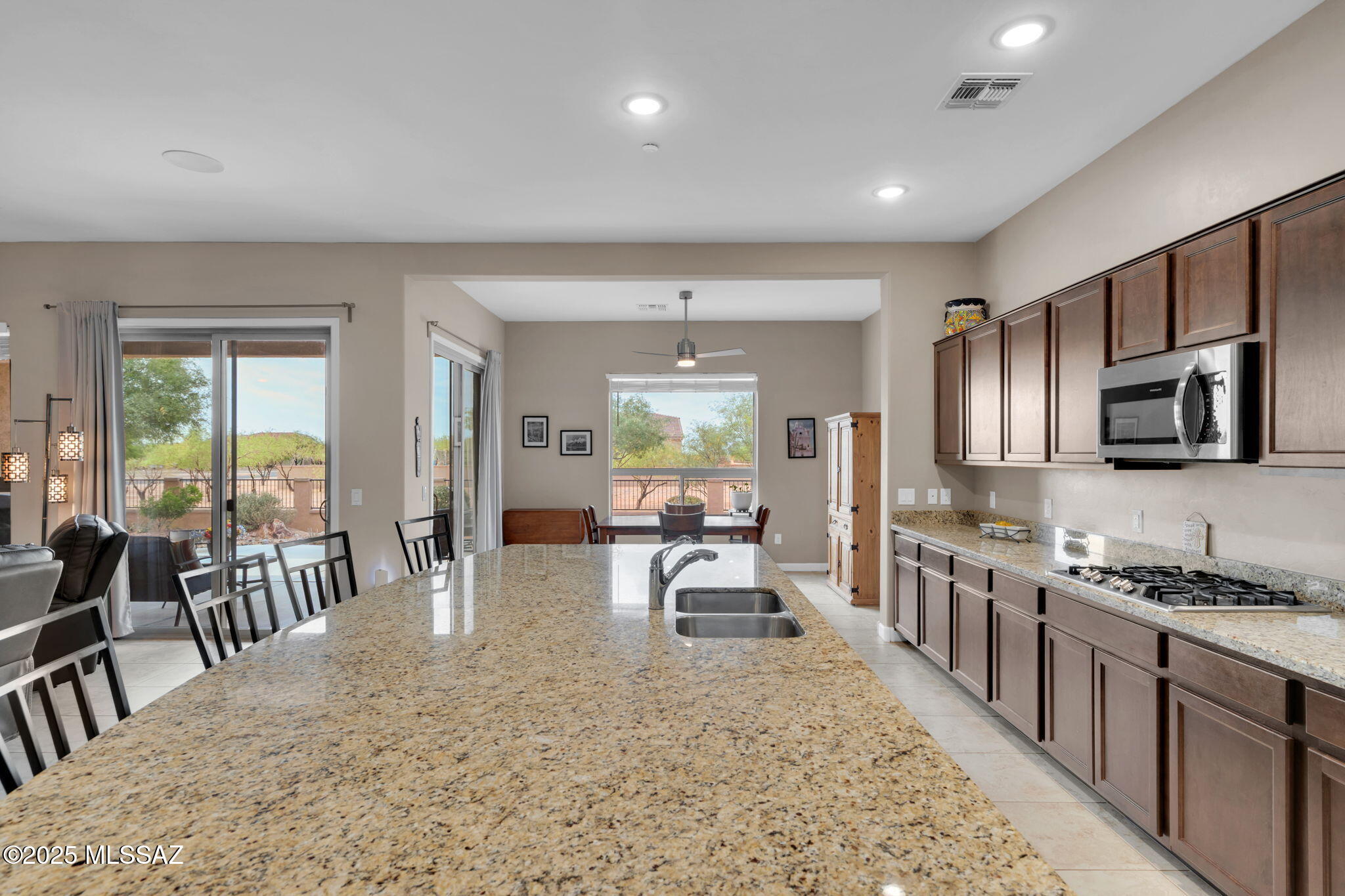 13282 W Finger Aloe Street