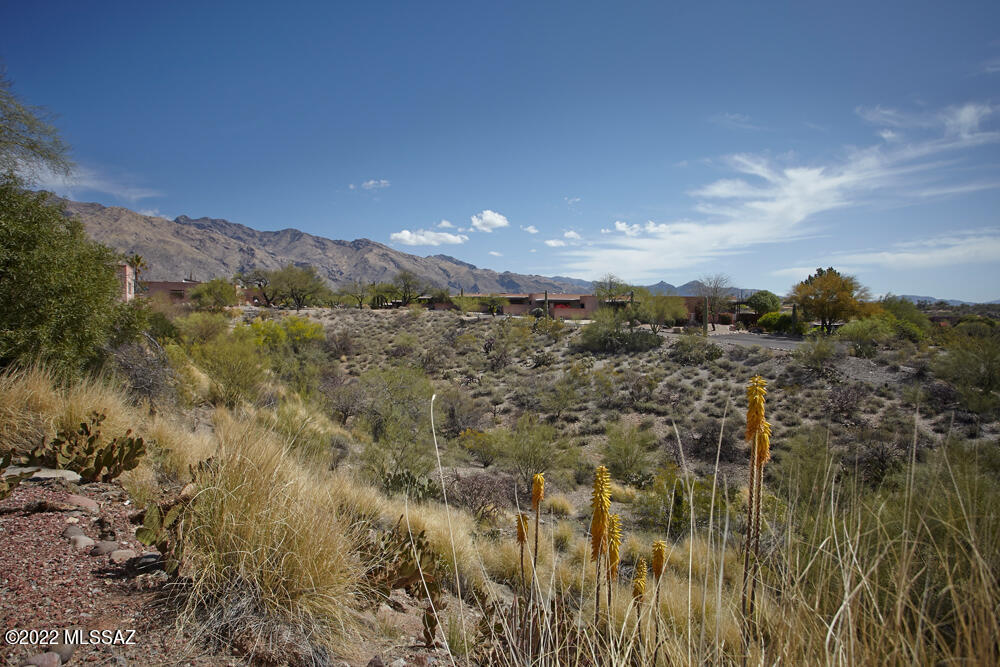 Tierra Serena Townhouses (1-117) - Residential