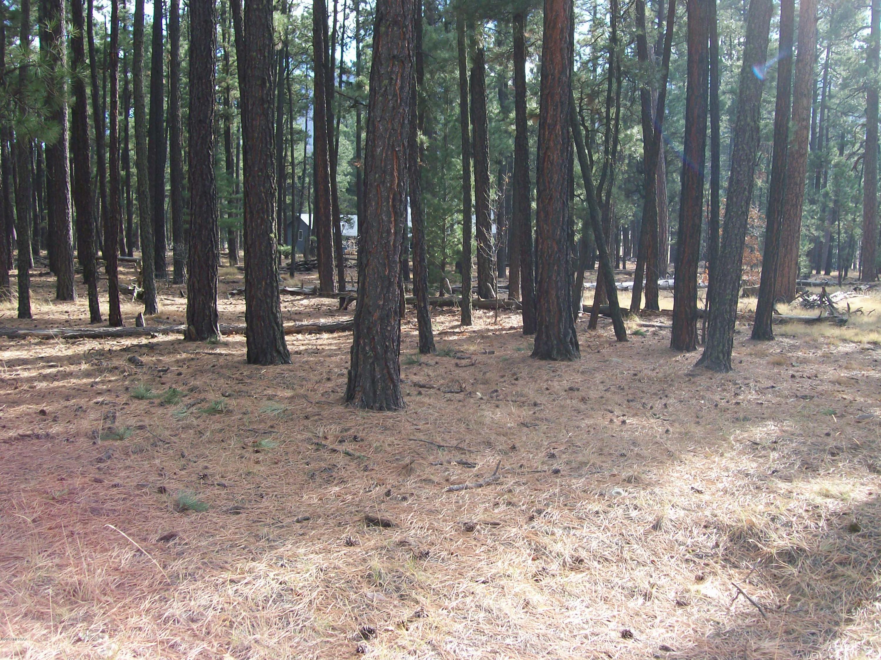 Out Of Pima County - Land