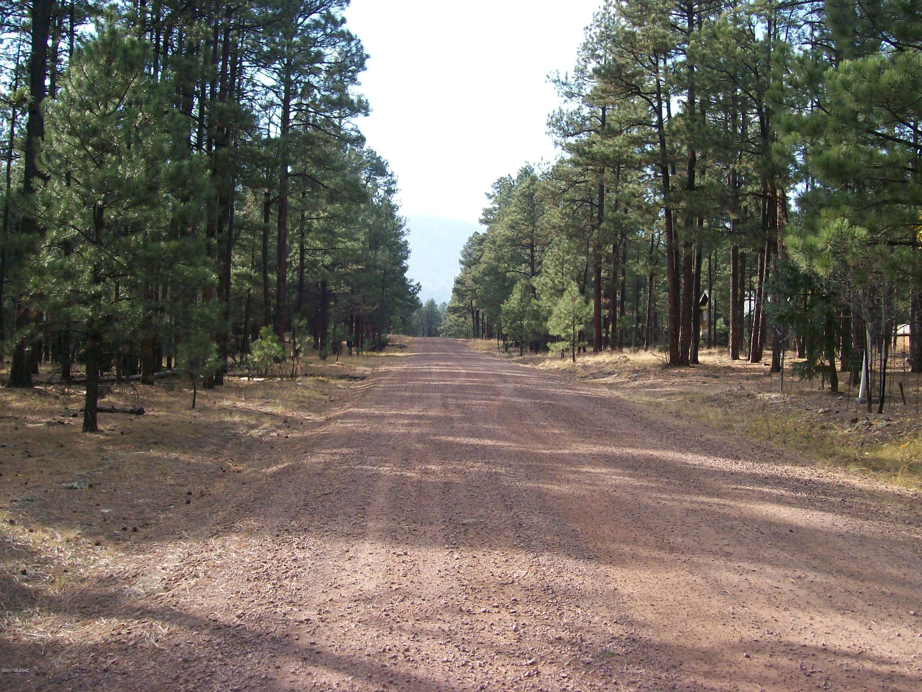 Out Of Pima County - Land
