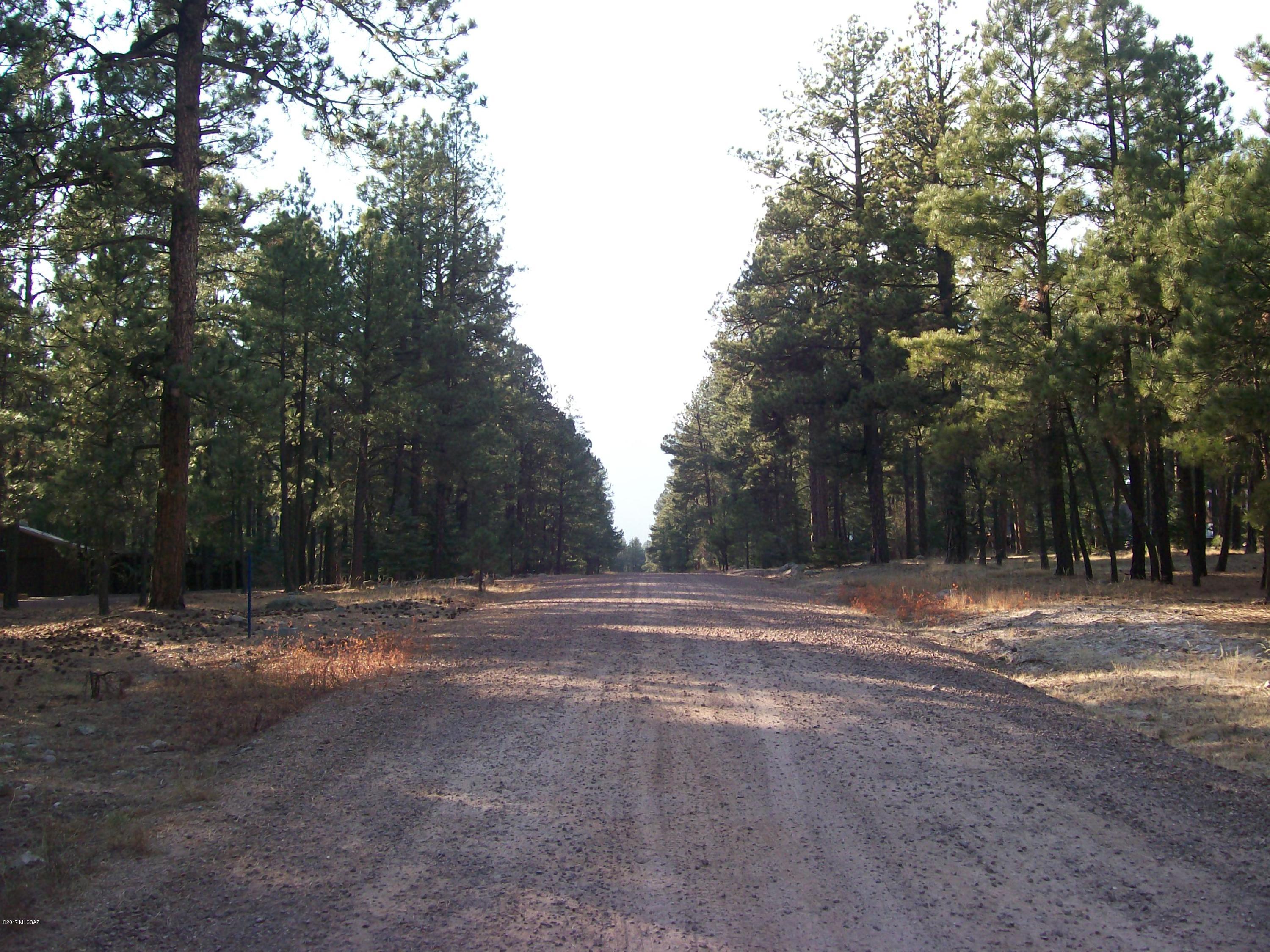 Out Of Pima County - Land