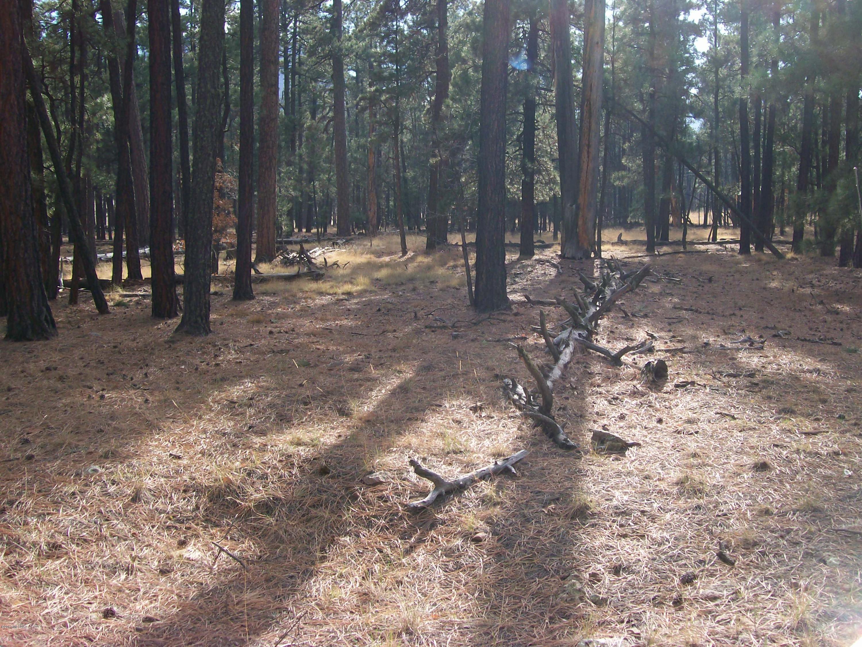 Out Of Pima County - Land