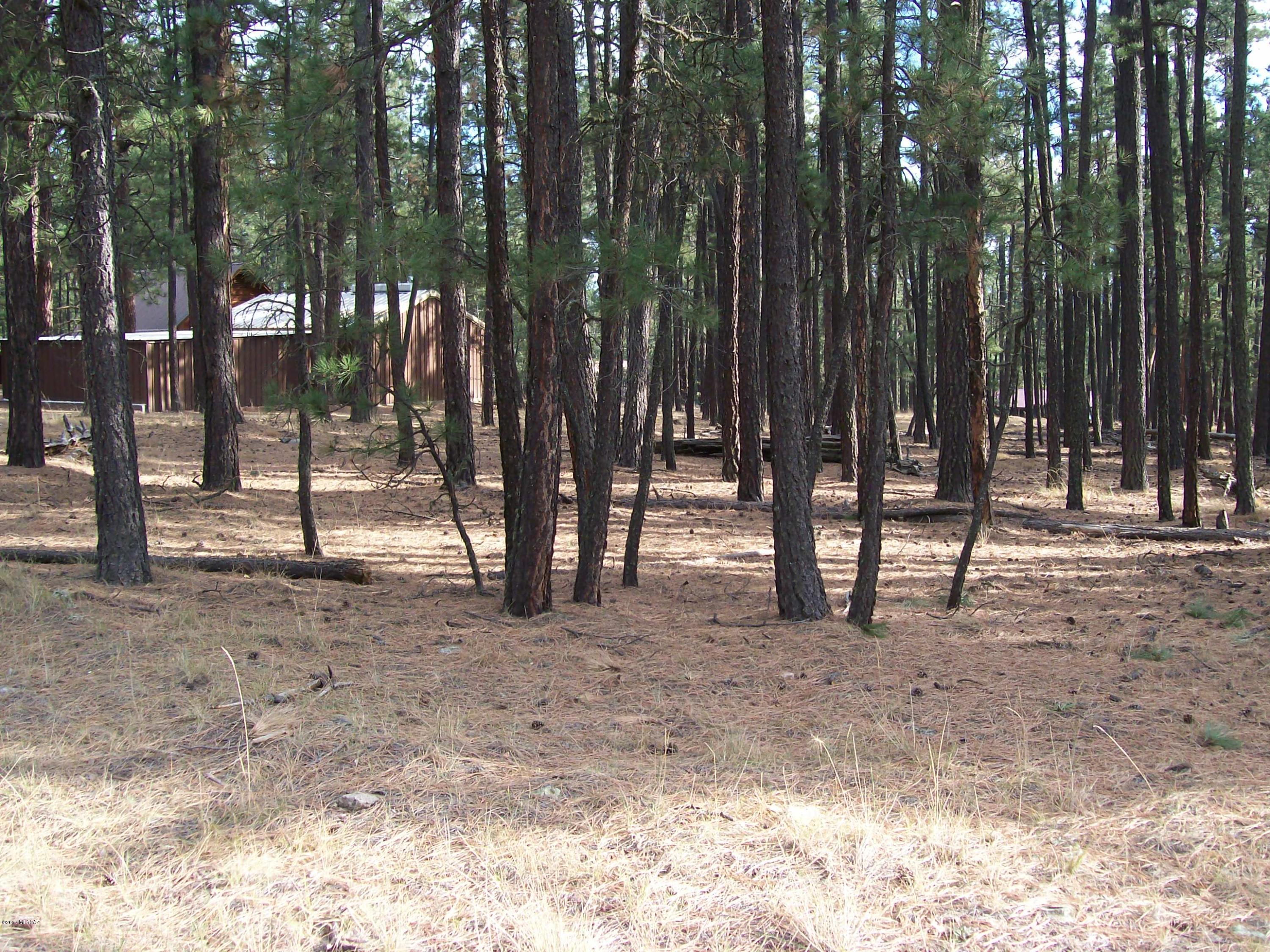 Out Of Pima County - Land