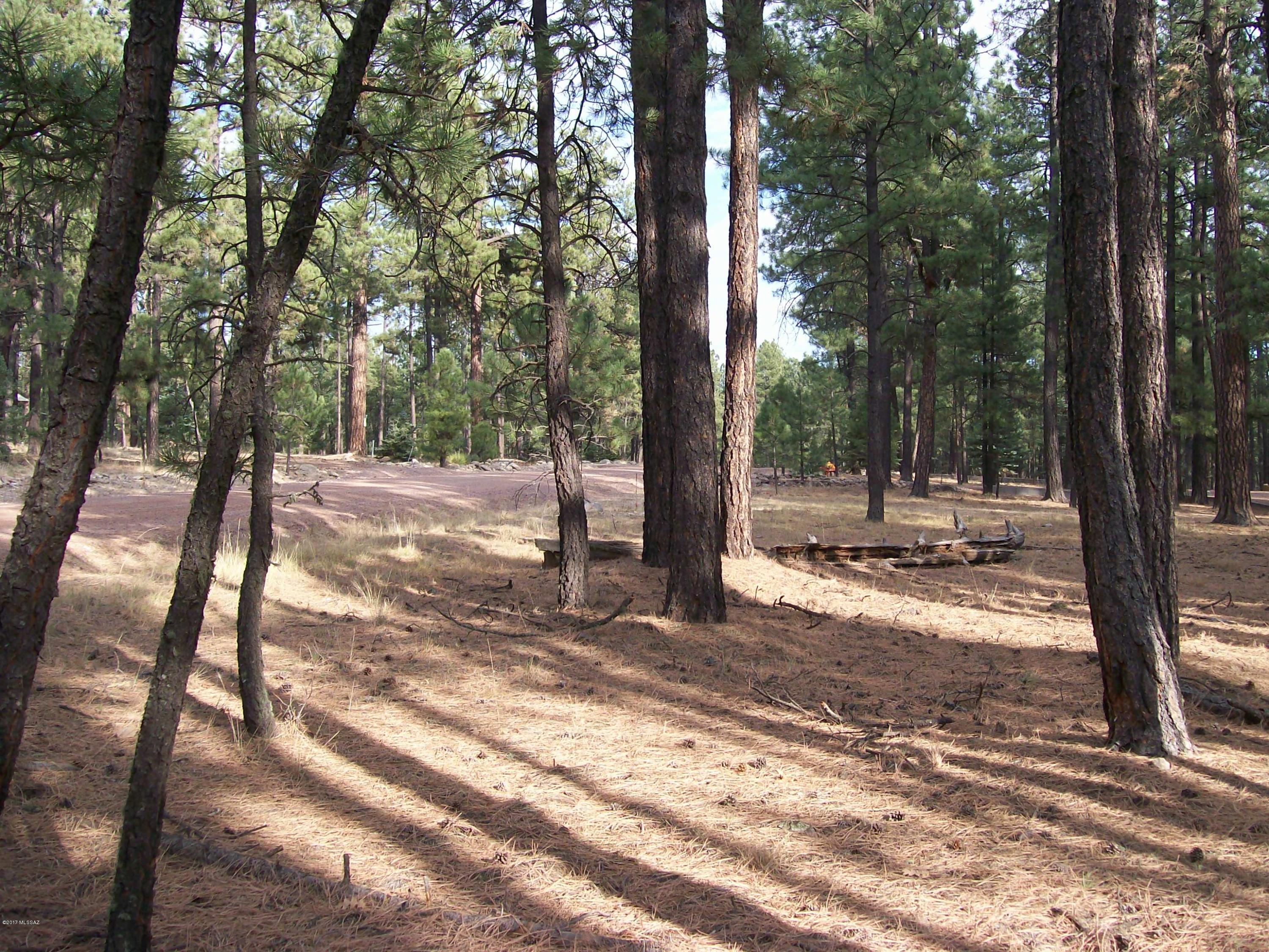 Out Of Pima County - Land