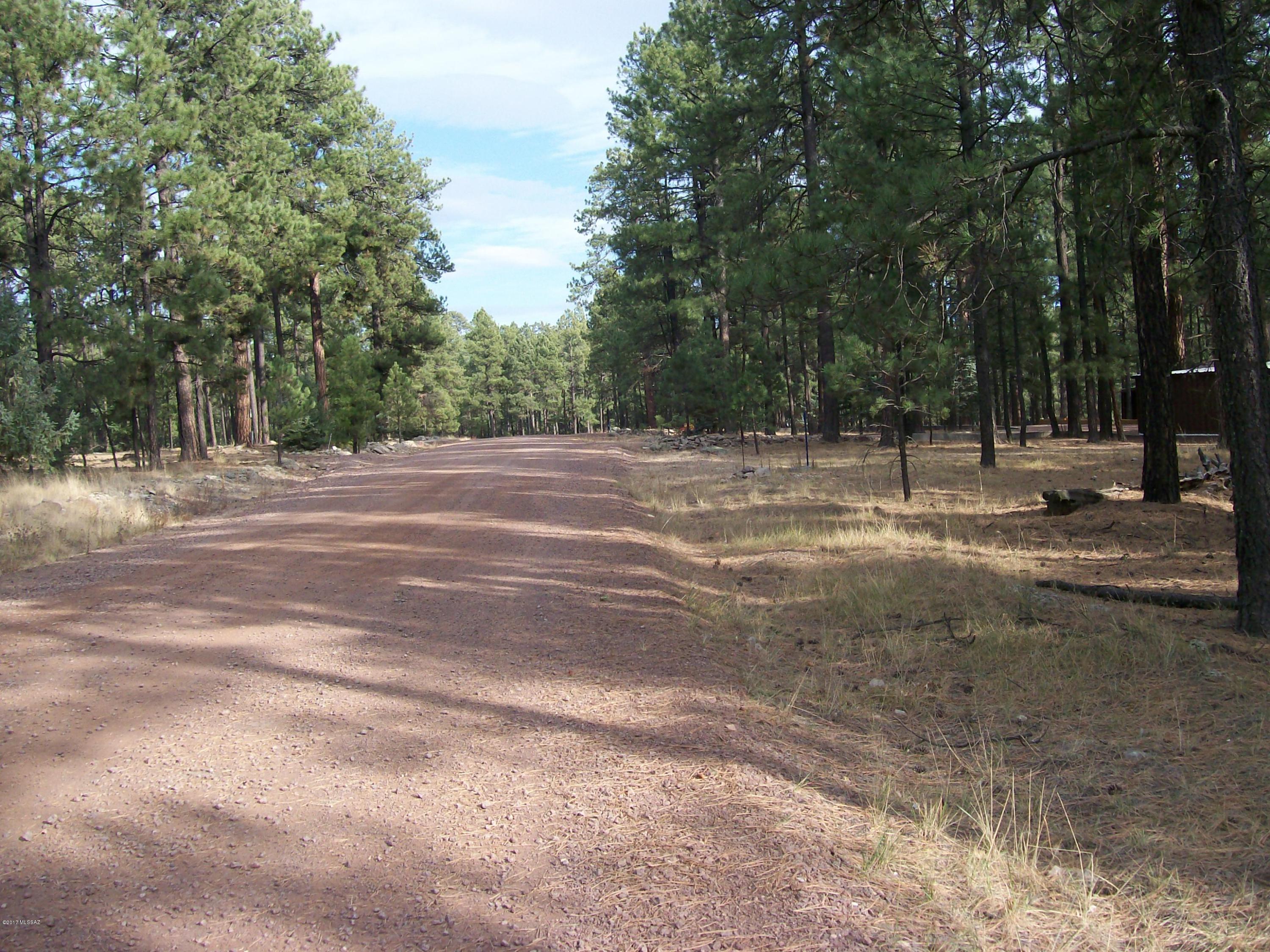 Out Of Pima County - Land