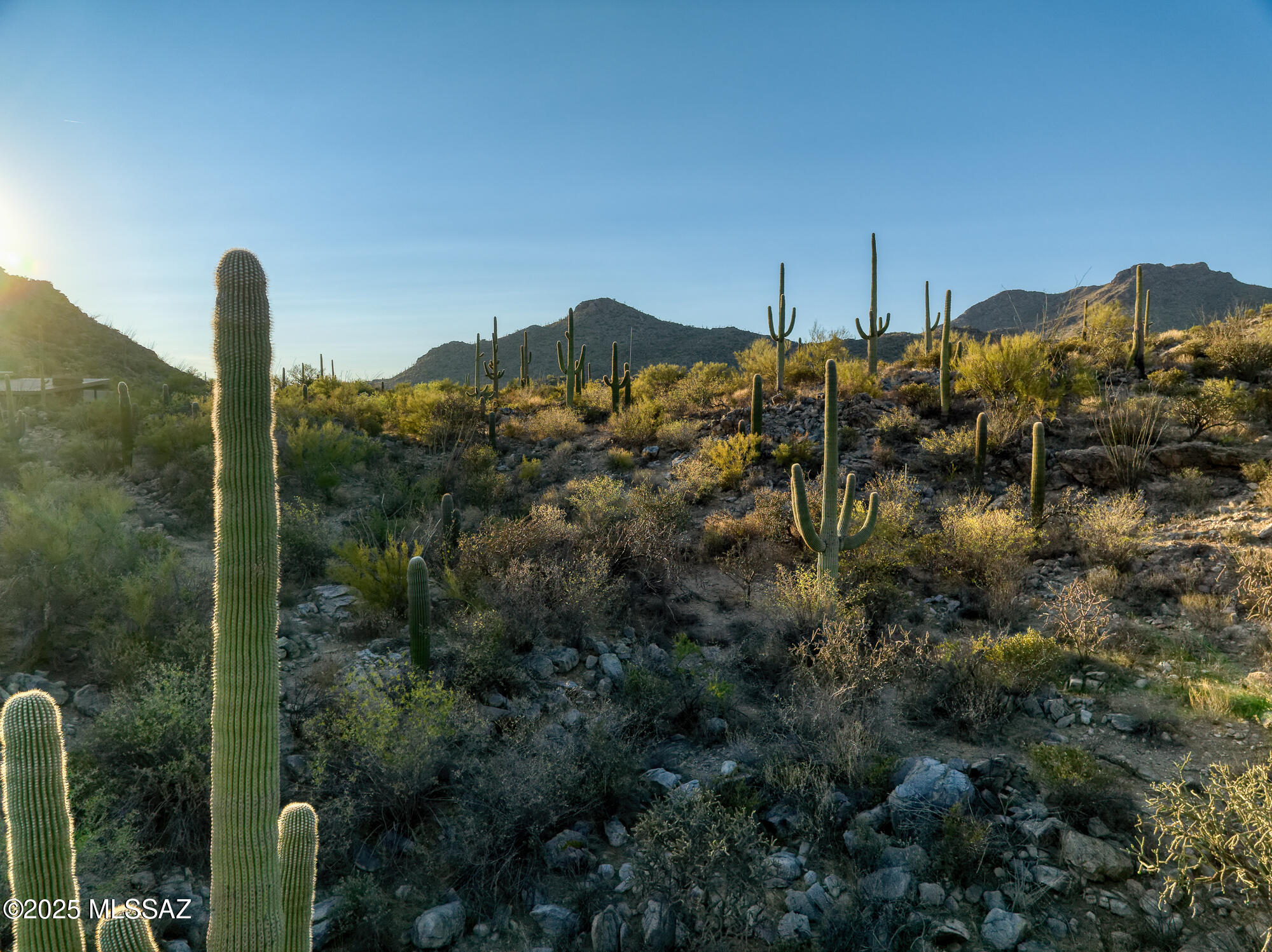 Saguaro Ranch South Amended - Land