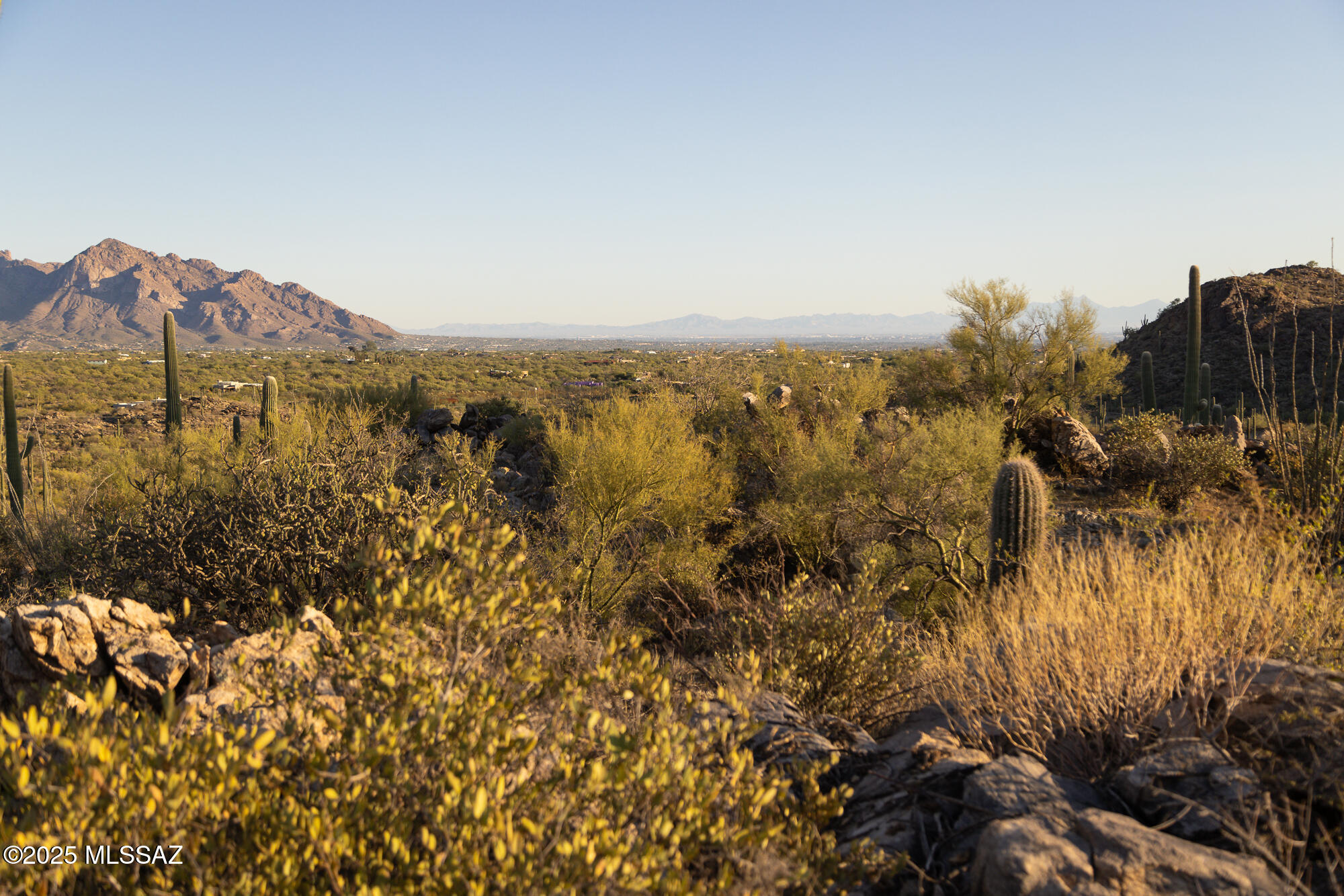 Saguaro Ranch South Amended - Land