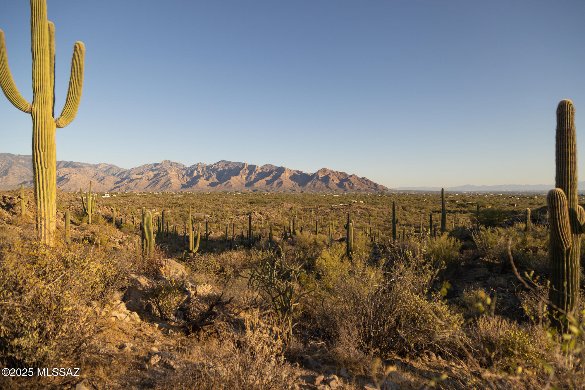 Saguaro Ranch South Amended - Land