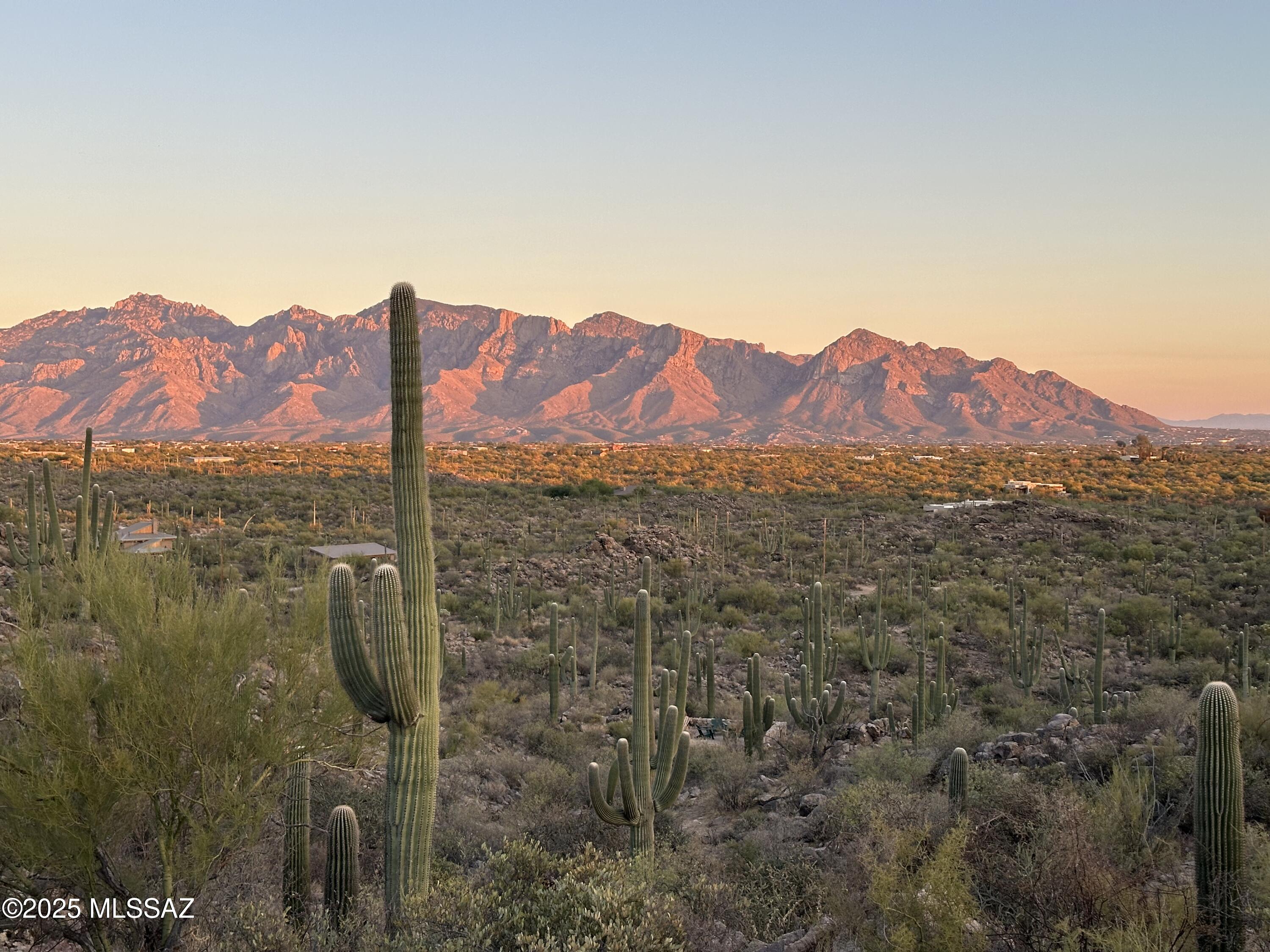 Saguaro Ranch South Amended - Land