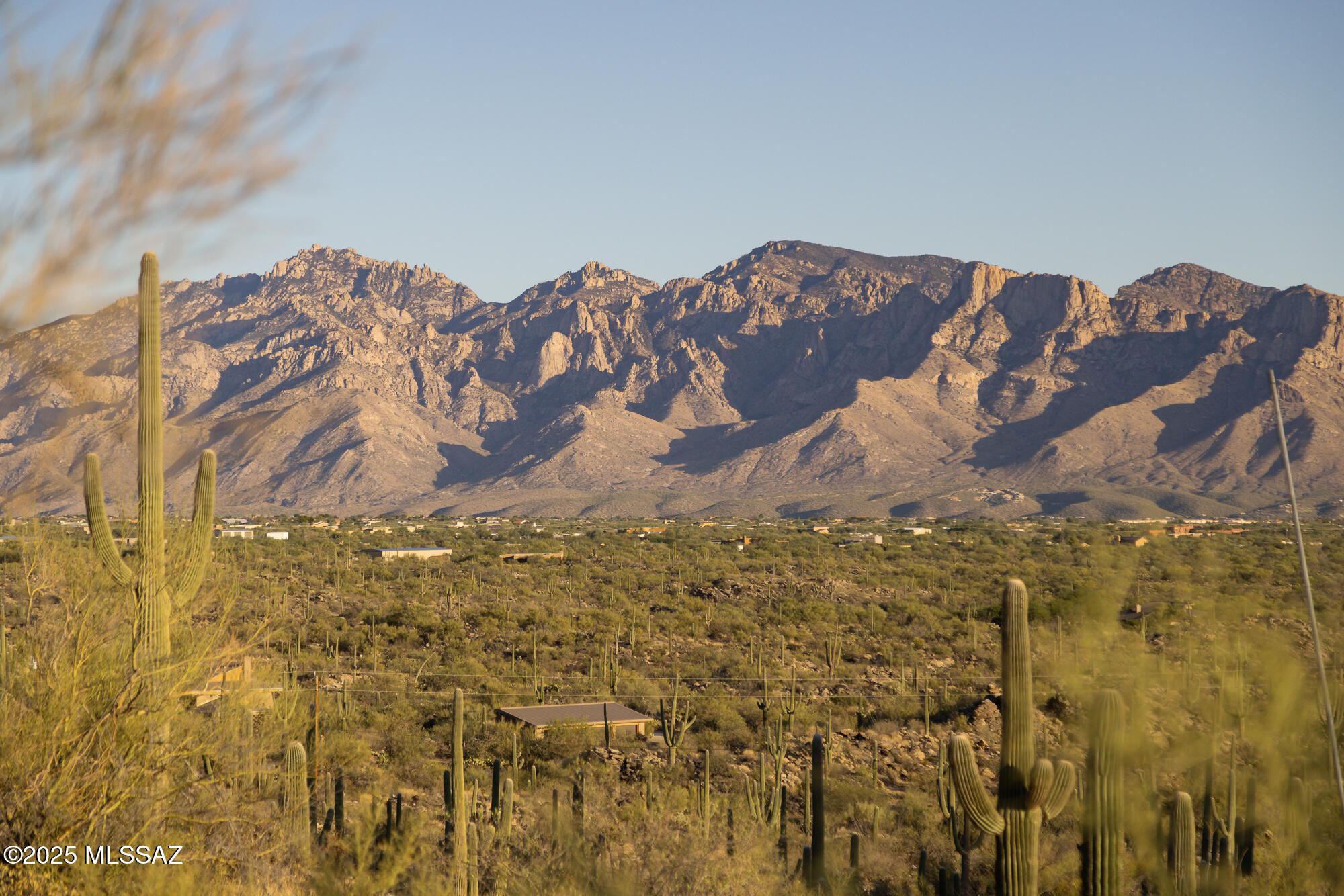 Saguaro Ranch South Amended - Land