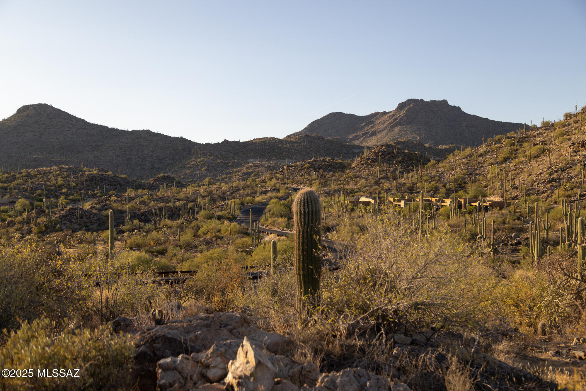 Saguaro Ranch South Amended - Land