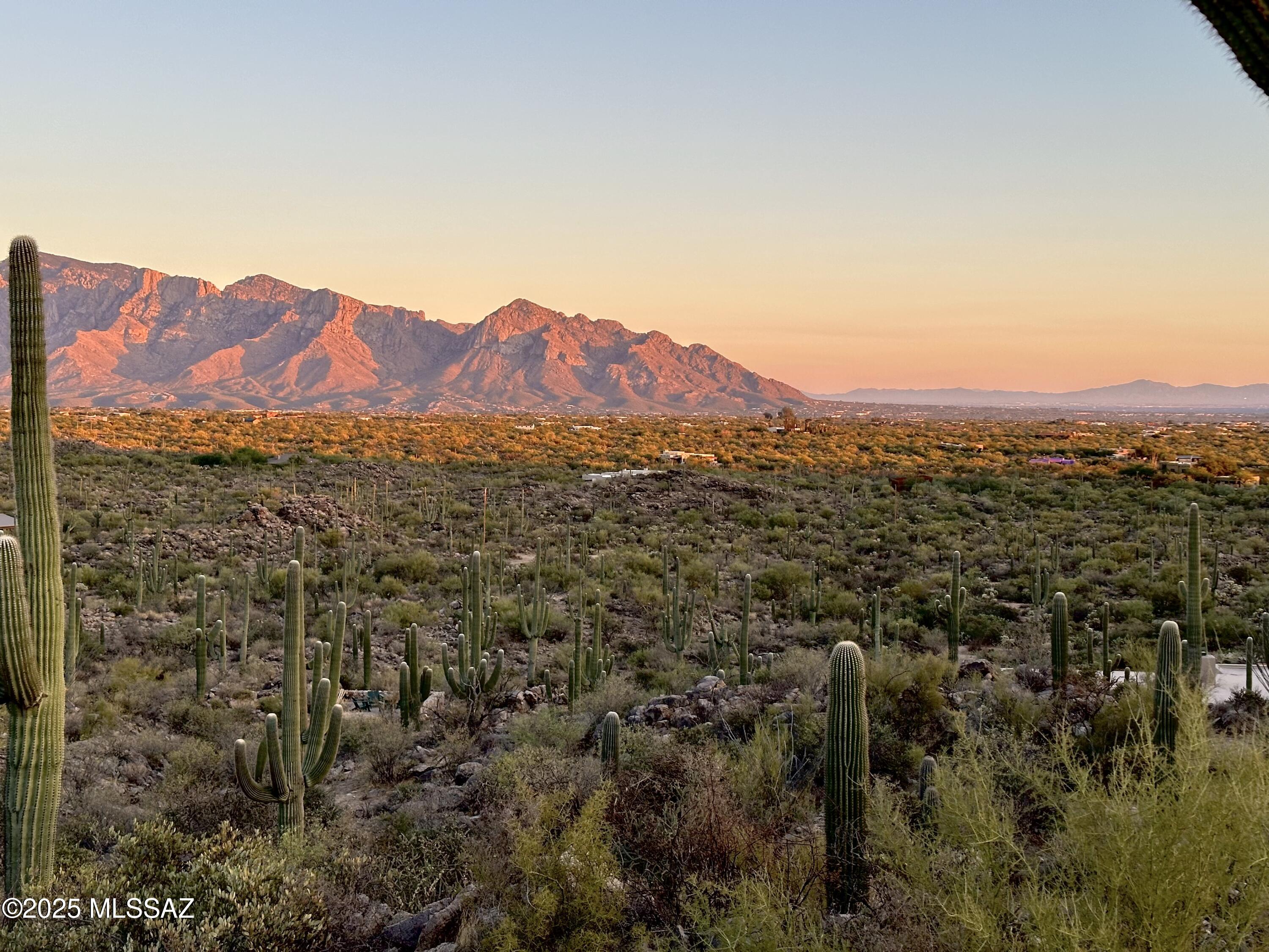 Saguaro Ranch South Amended - Land