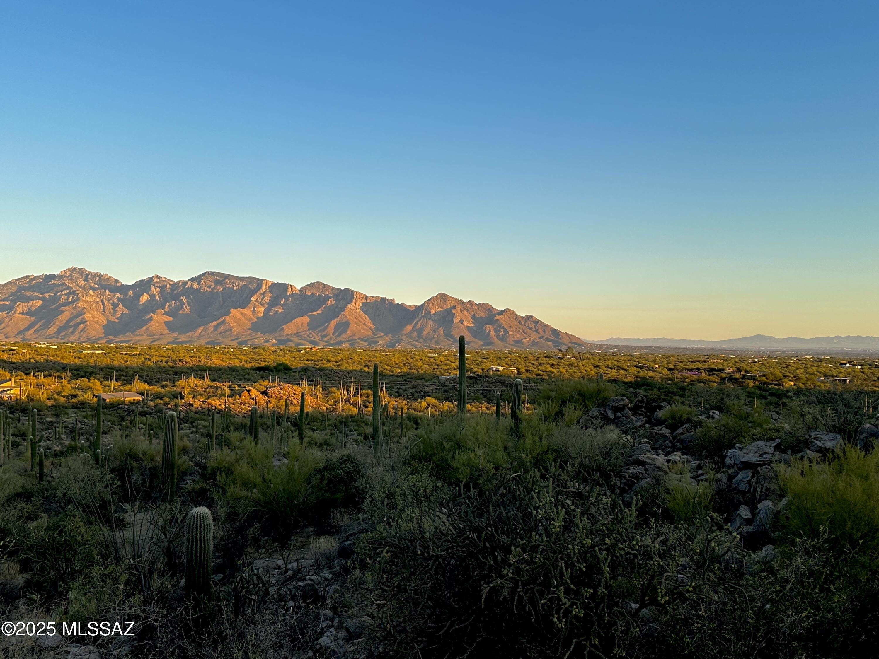 Saguaro Ranch South Amended - Land