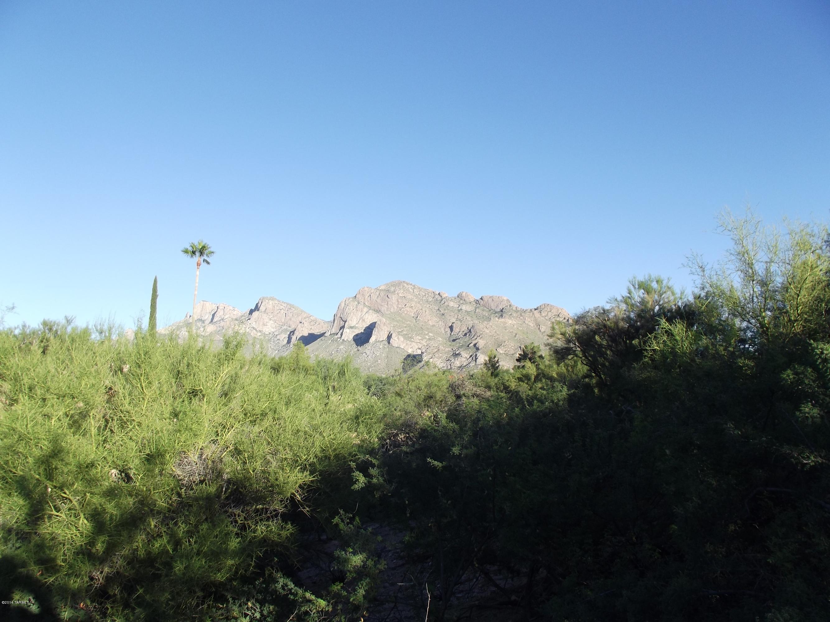 Oro Valley Estates - Land