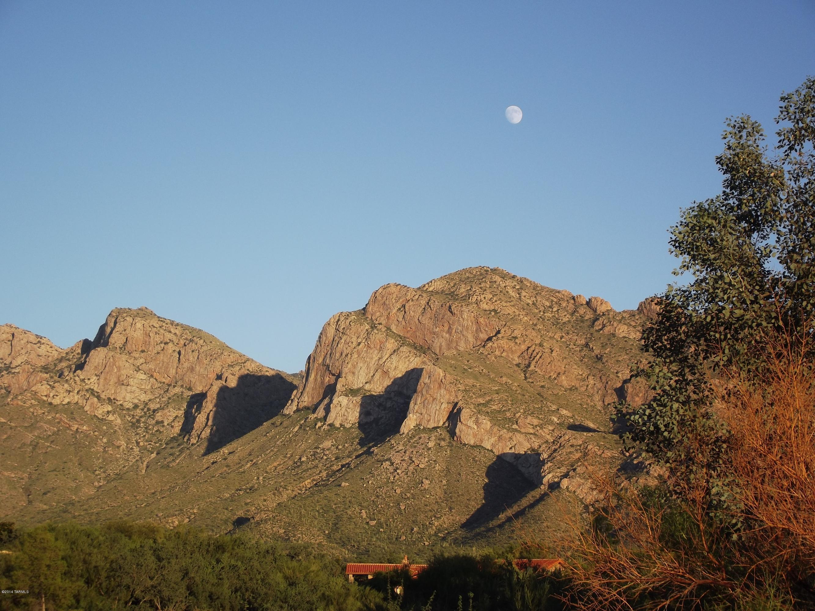 Oro Valley Estates - Land