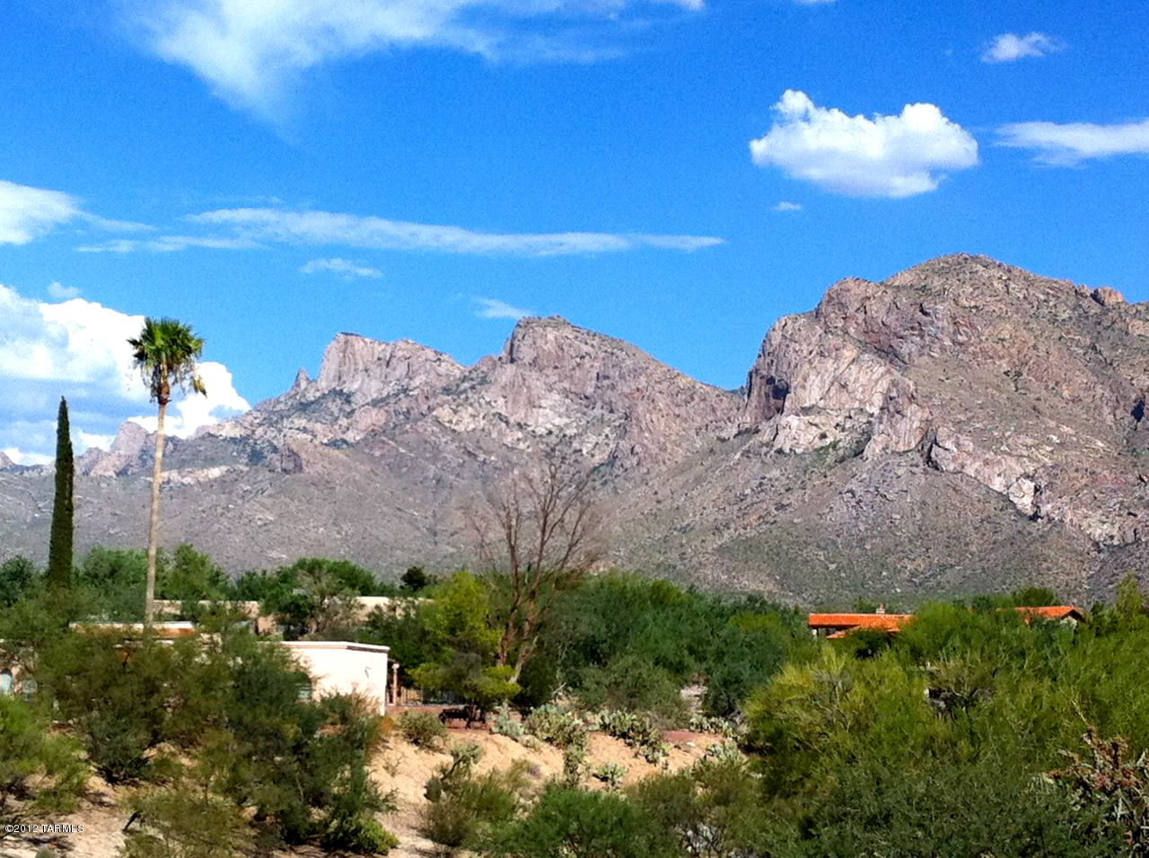 Oro Valley Estates - Land