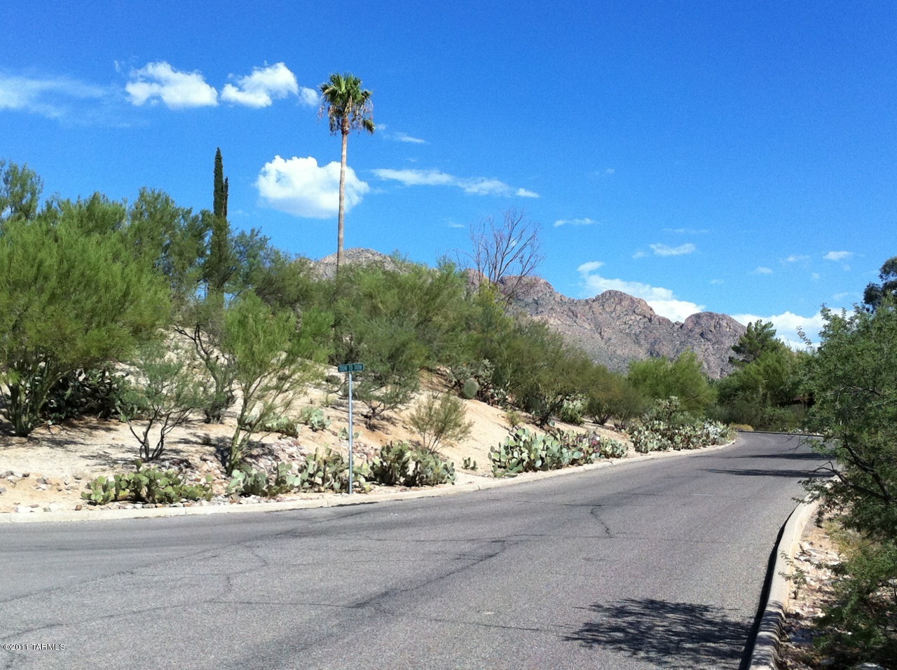 Oro Valley Estates - Land