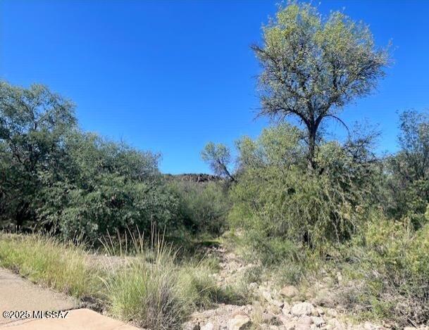 Morning Star Ranch - Land