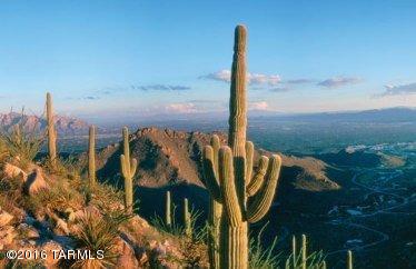 Del Webb At Dove Mountain SQ20131930189 - Residential