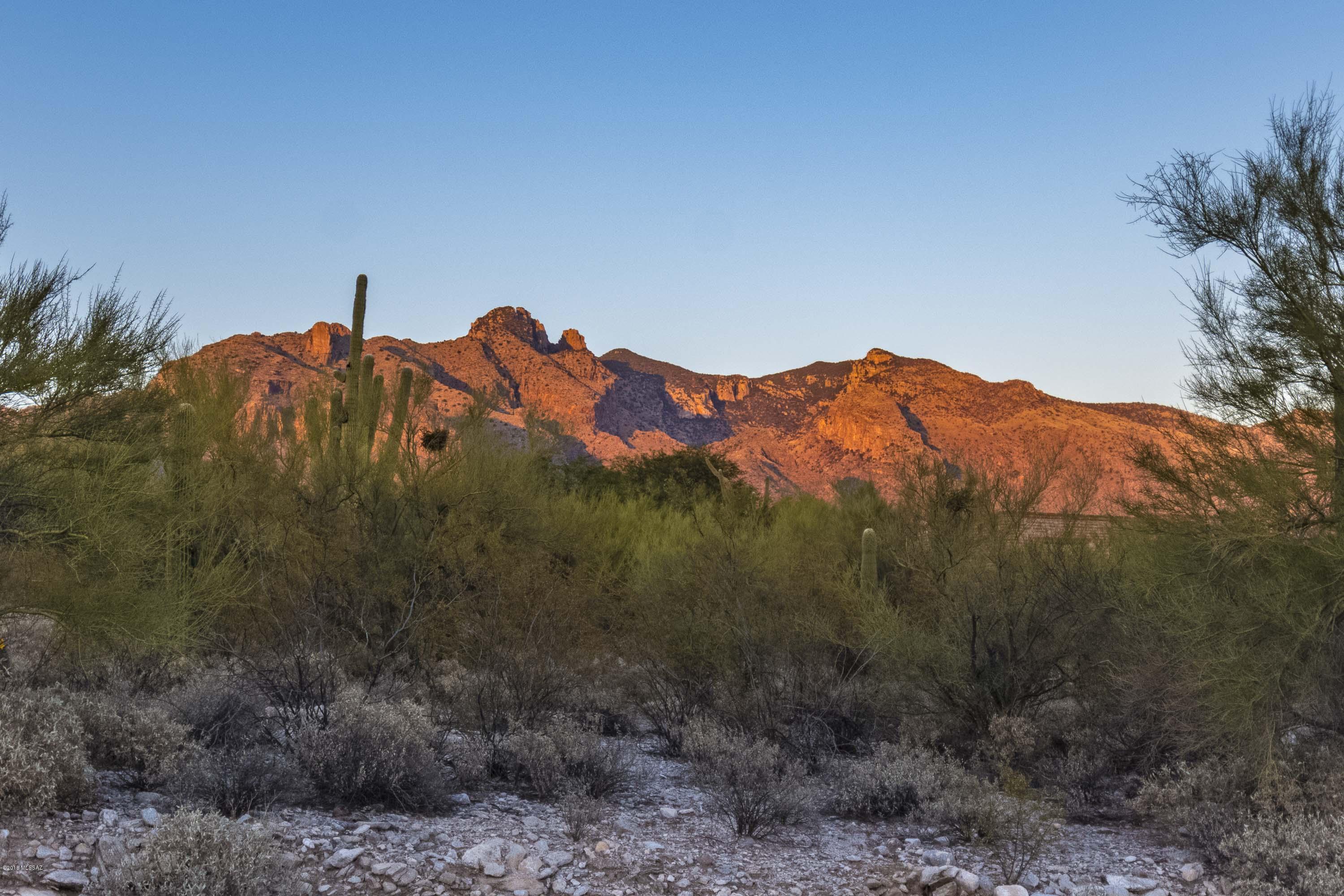 Catalina Foothills Est 9 - Residential