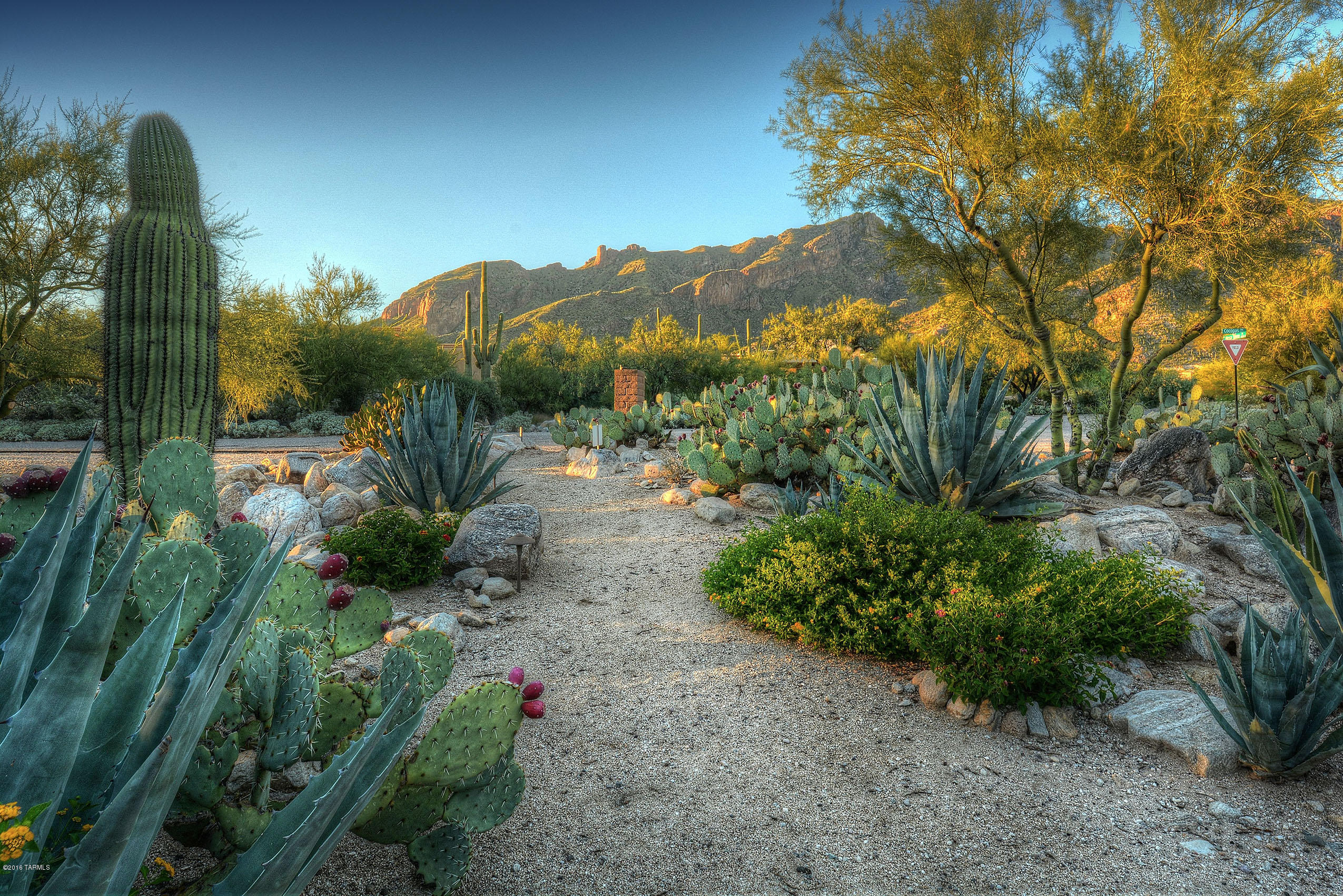 Coronado Foothills Estates - Residential
