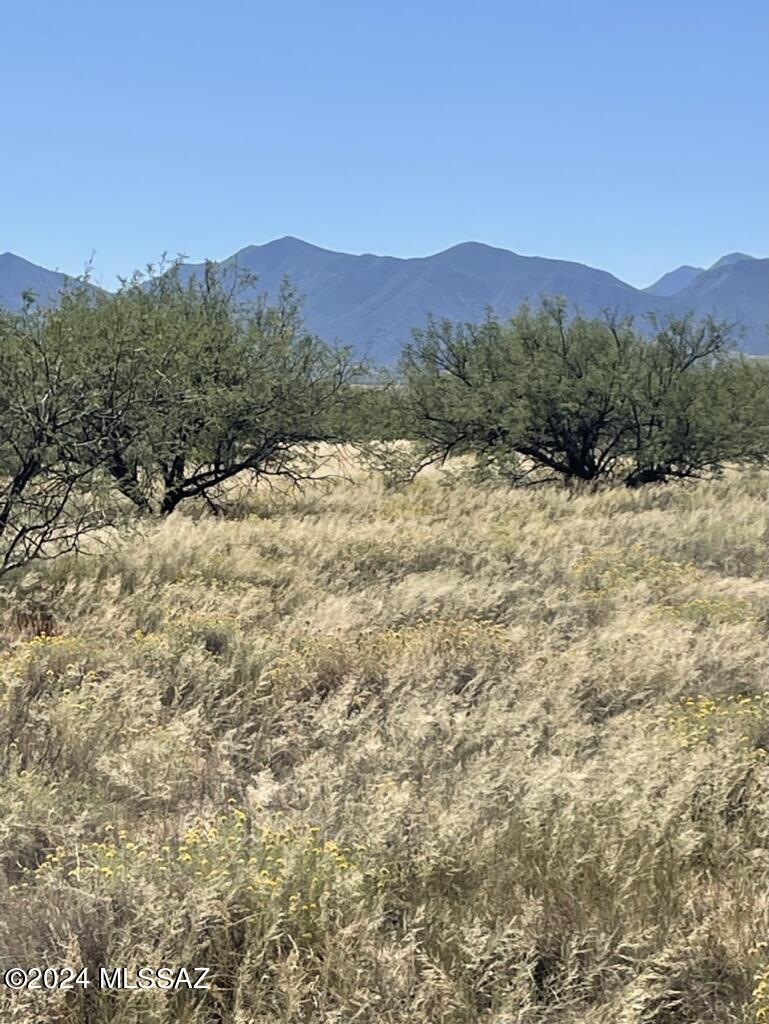 Red Hawk at J-6 Ranch - Land