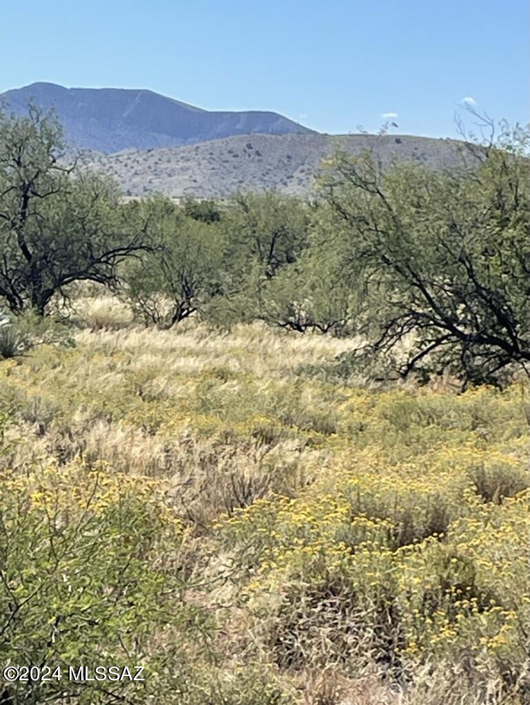 Red Hawk at J-6 Ranch - Land