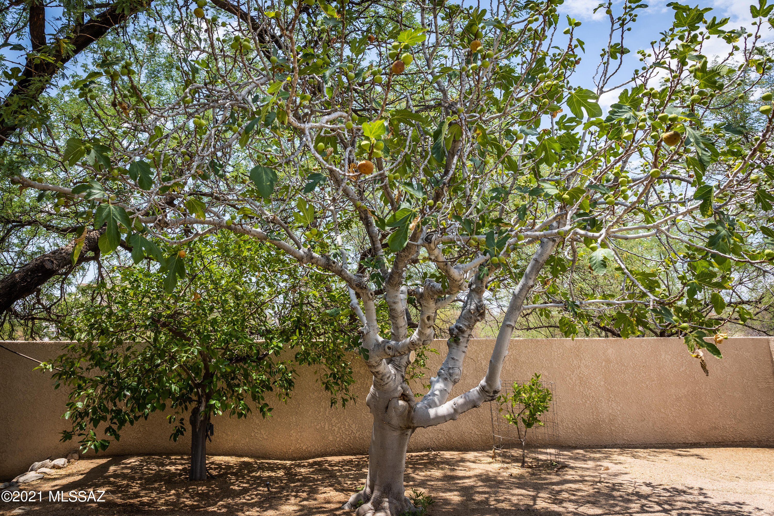 Shadow Hills (1-483) - Residential