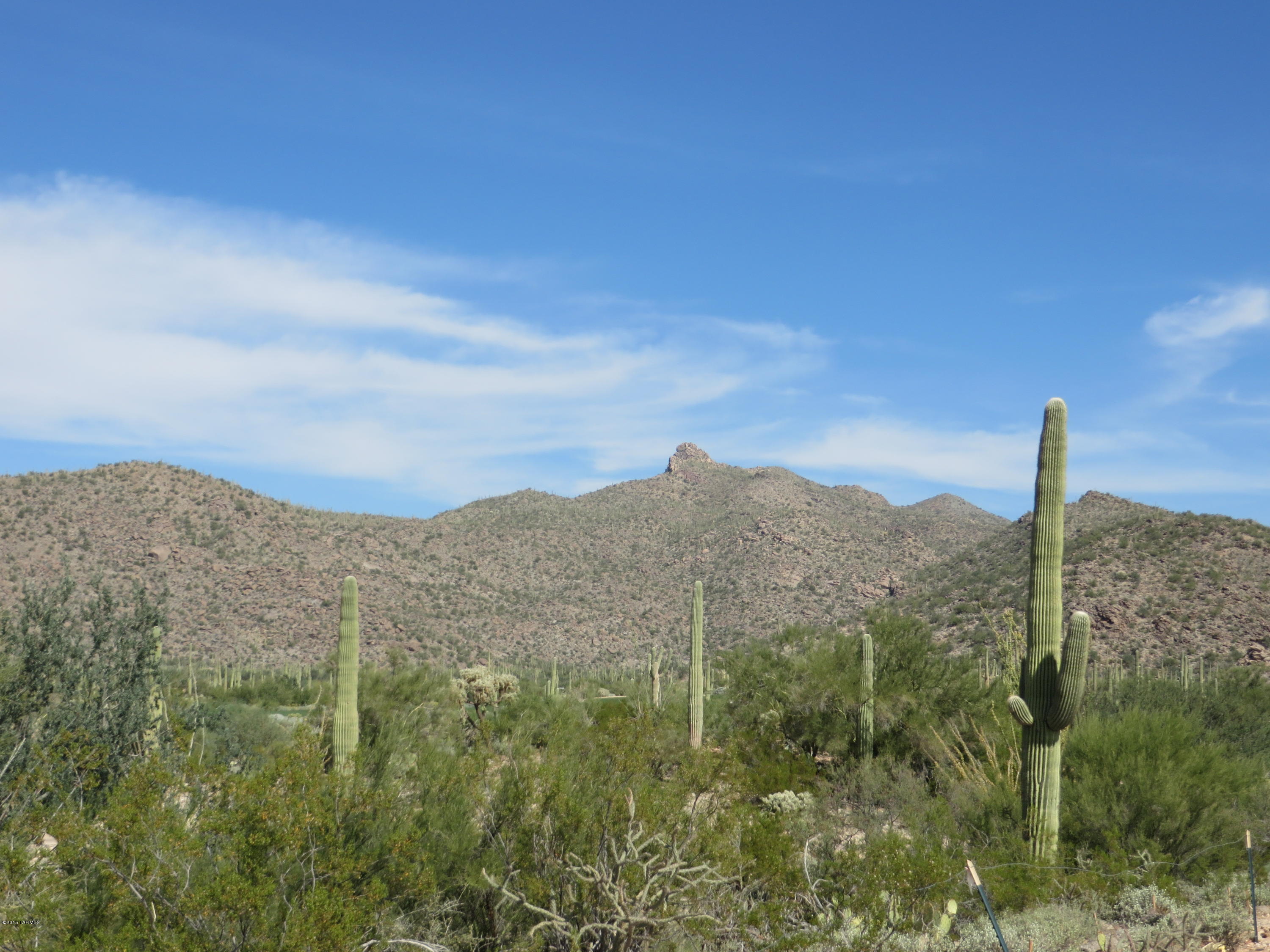 Preserve III at Dove Mtn (306-486,530-534,577-605) - Residential