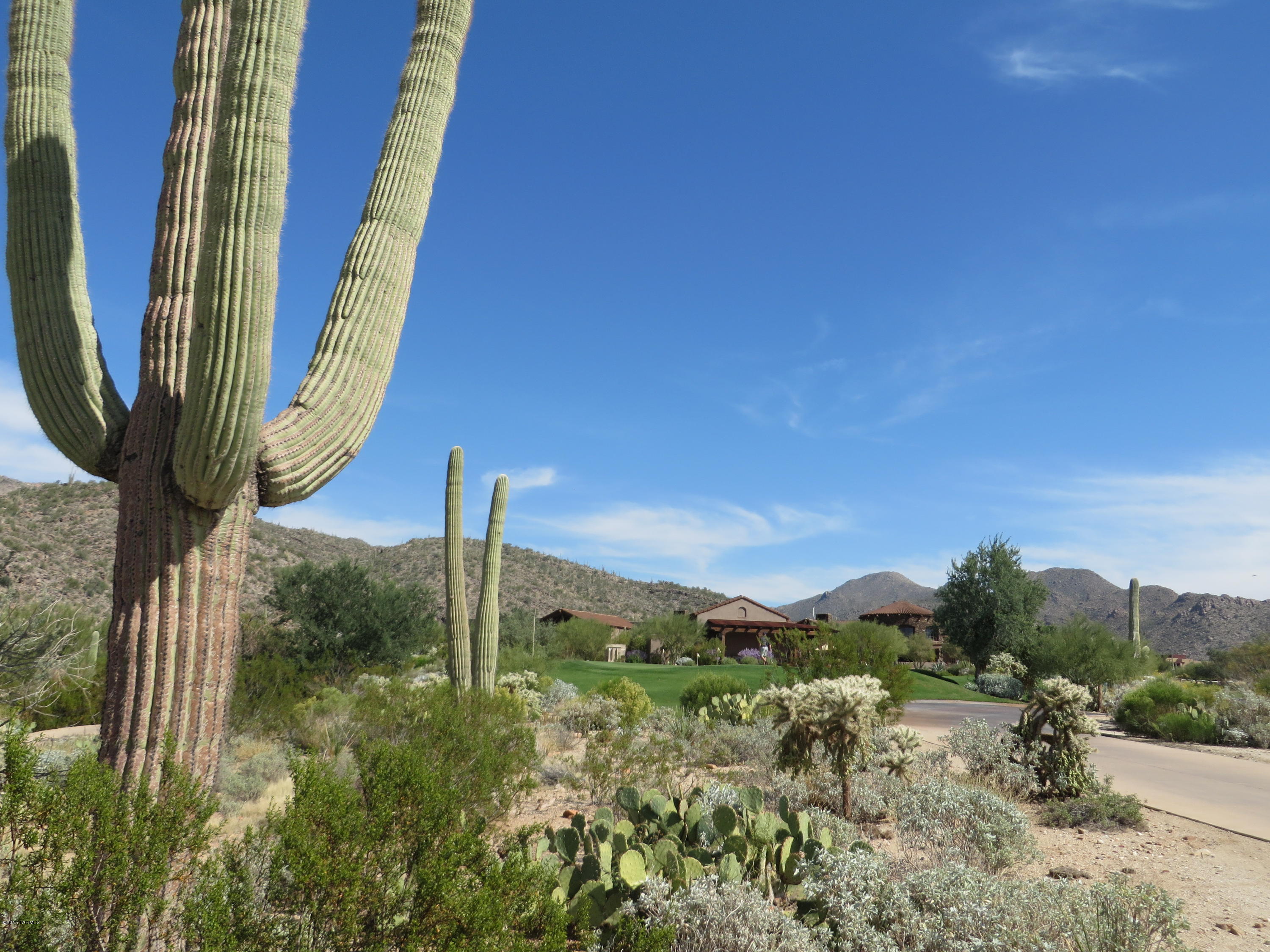 Preserve III at Dove Mtn (306-486,530-534,577-605) - Residential
