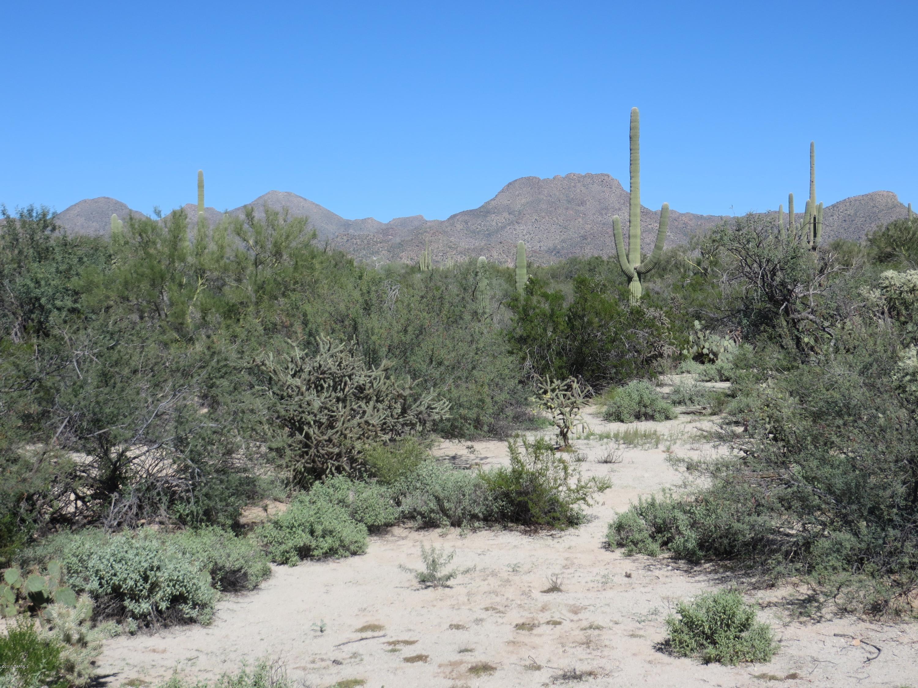 Preserve III at Dove Mtn (306-486,530-534,577-605) - Residential