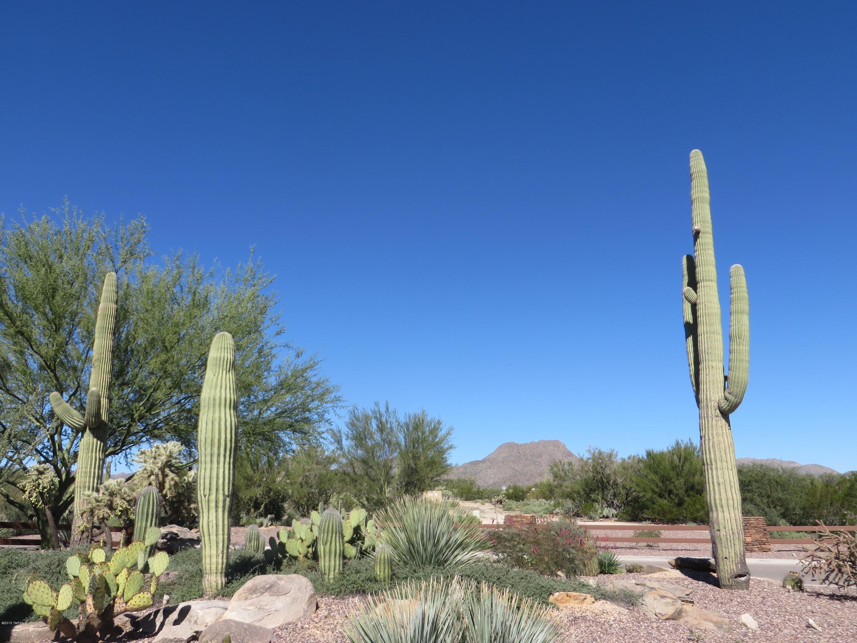 Preserve III at Dove Mtn (306-486,530-534,577-605) - Residential