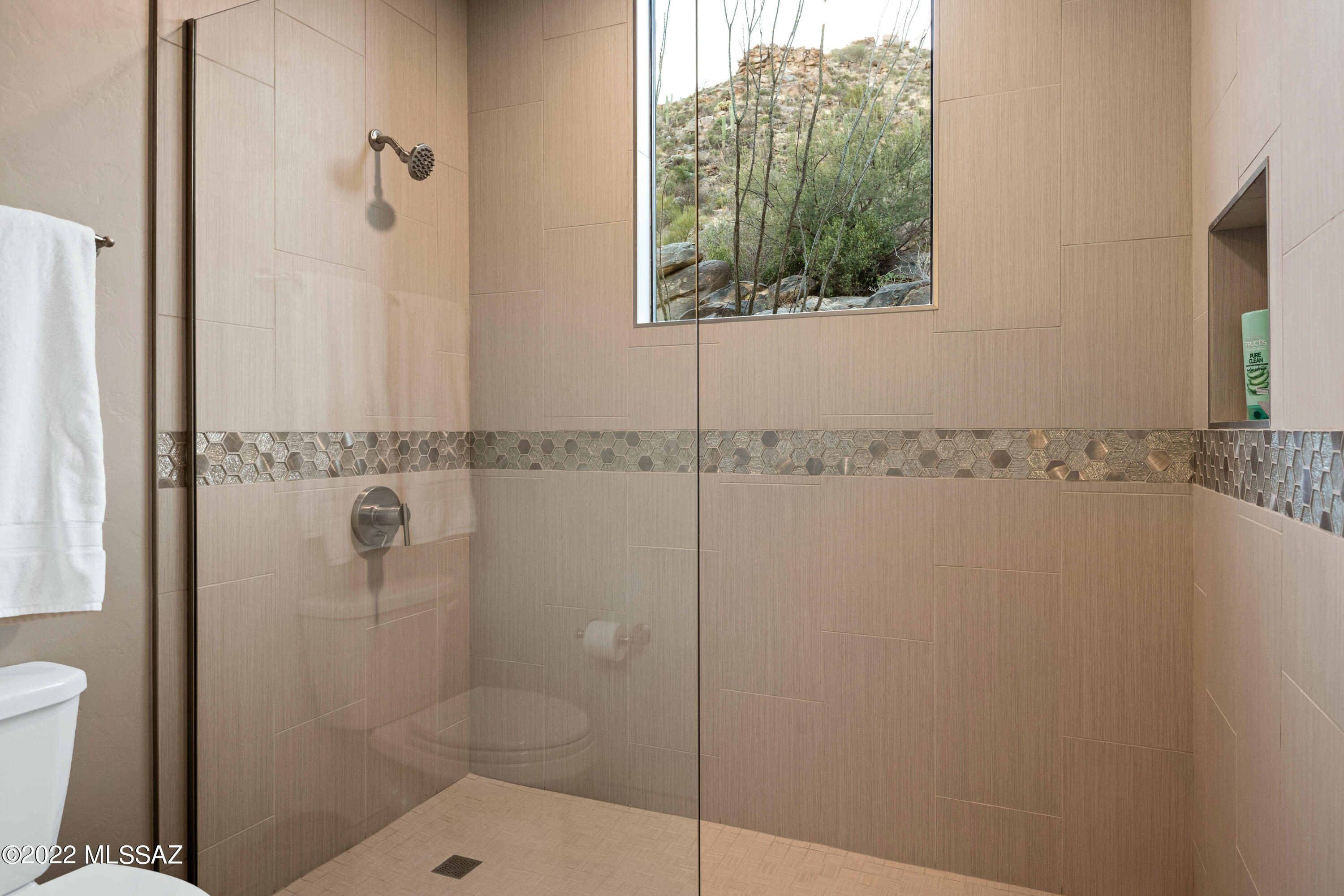 Canyon Pass At Dove Mountain - Residential