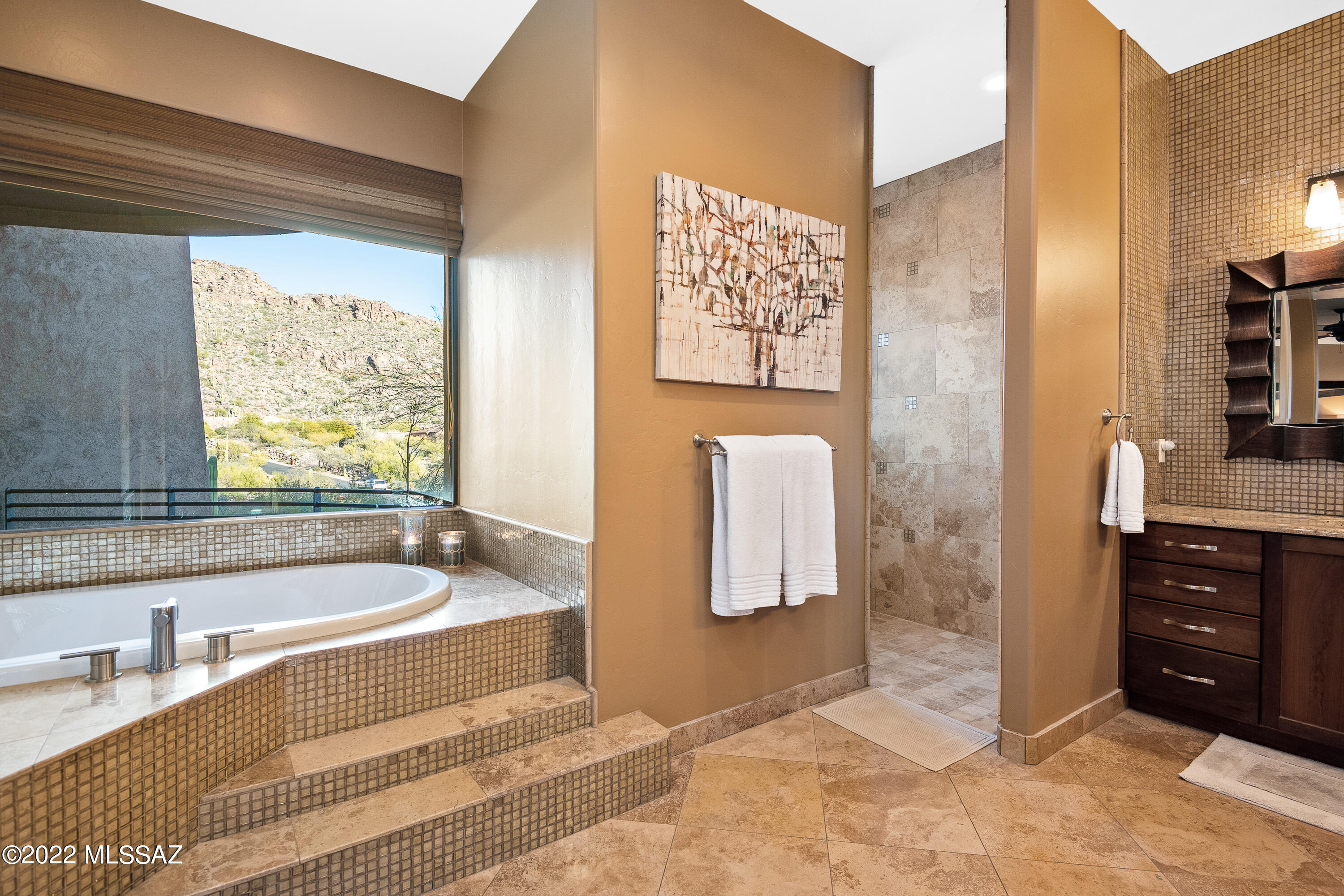 Canyon Pass At Dove Mountain - Residential