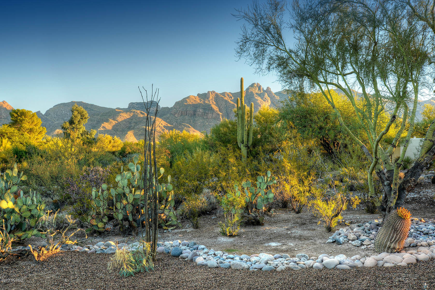Catalina Foothills Est 8 - Residential