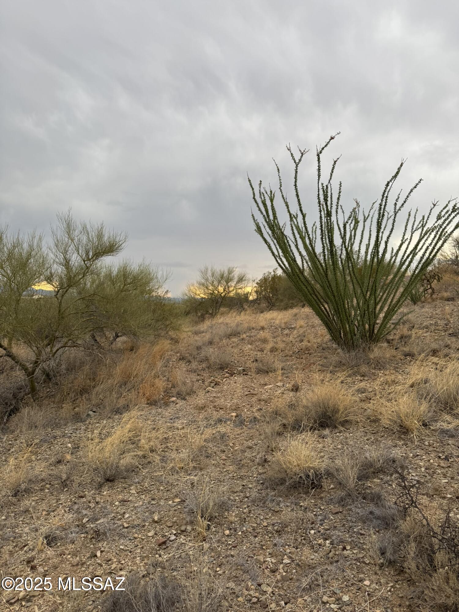 New Tucson Unit NO. 6 (1-75) - Land