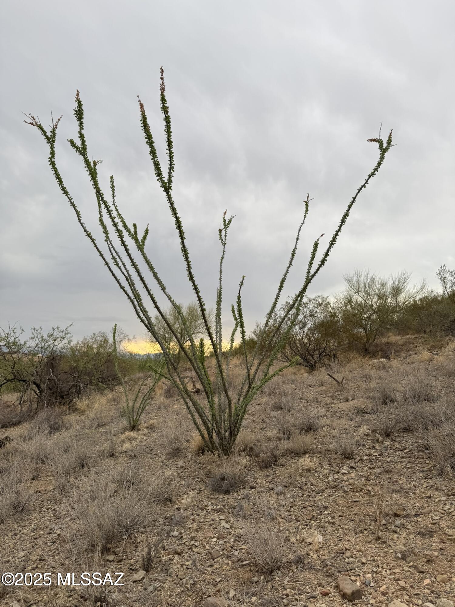 New Tucson Unit NO. 6 (1-75) - Land
