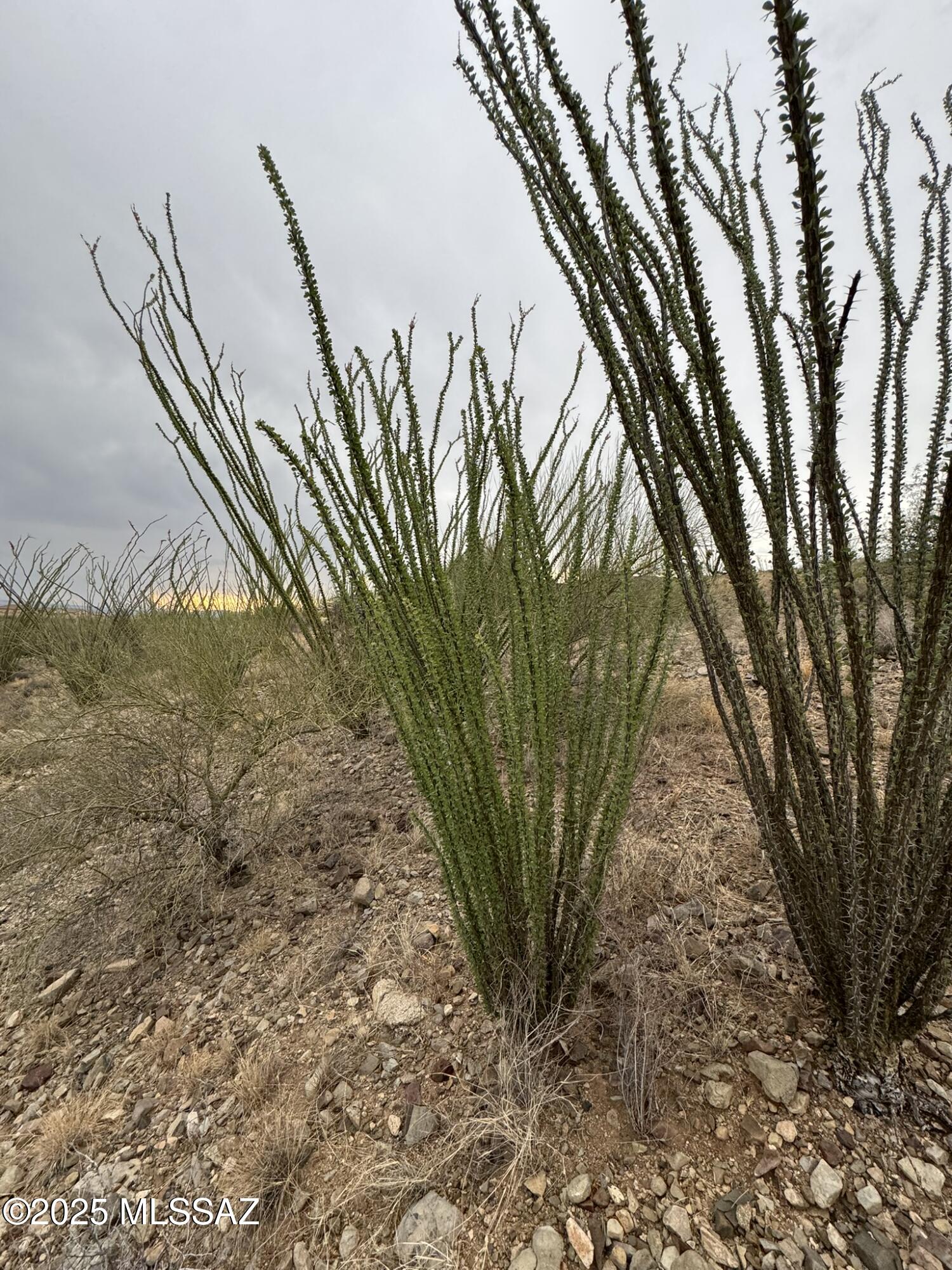 New Tucson Unit NO. 6 (1-75) - Land