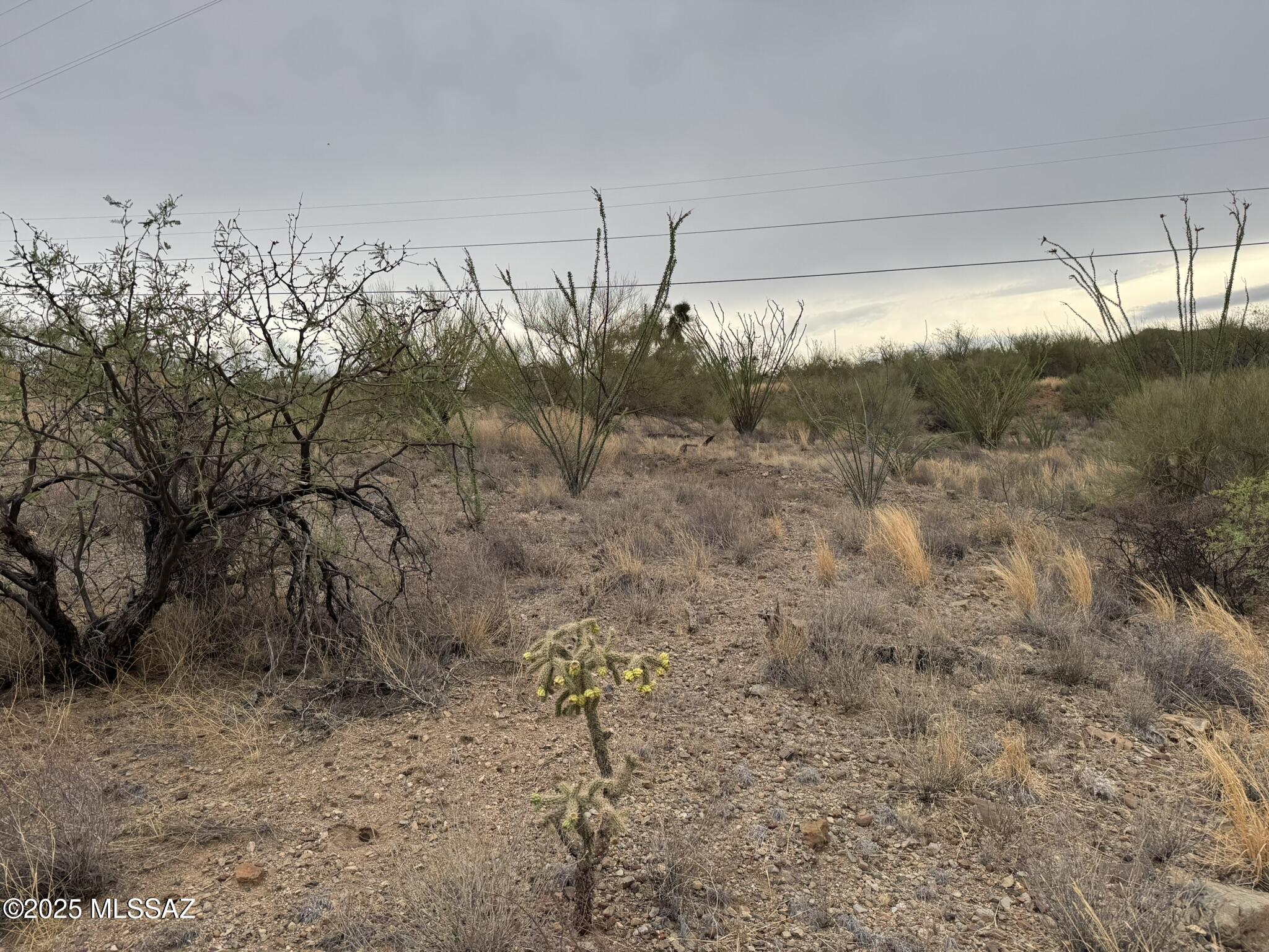New Tucson Unit NO. 6 (1-75) - Land