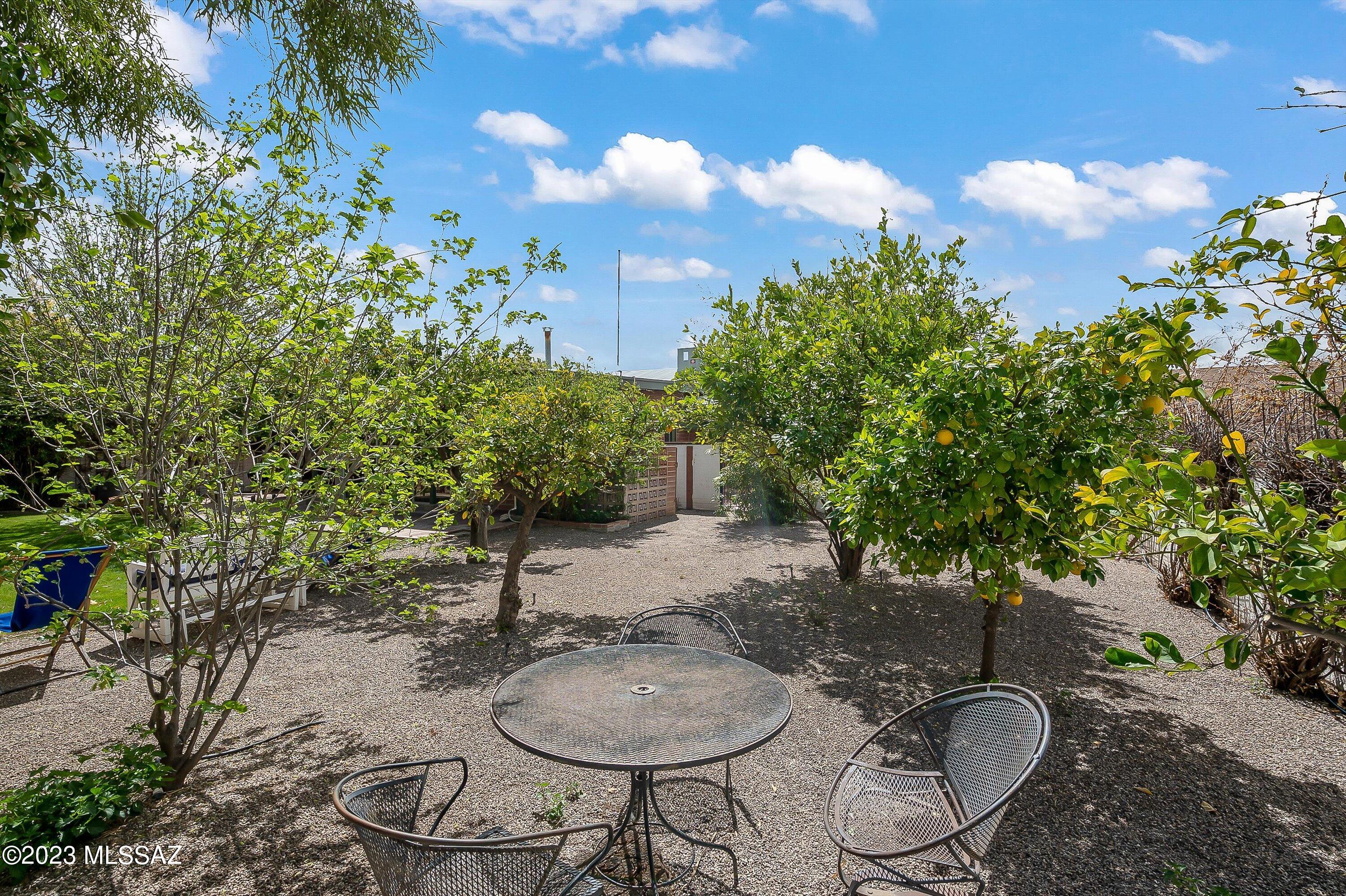 Catalina Vista - Residential