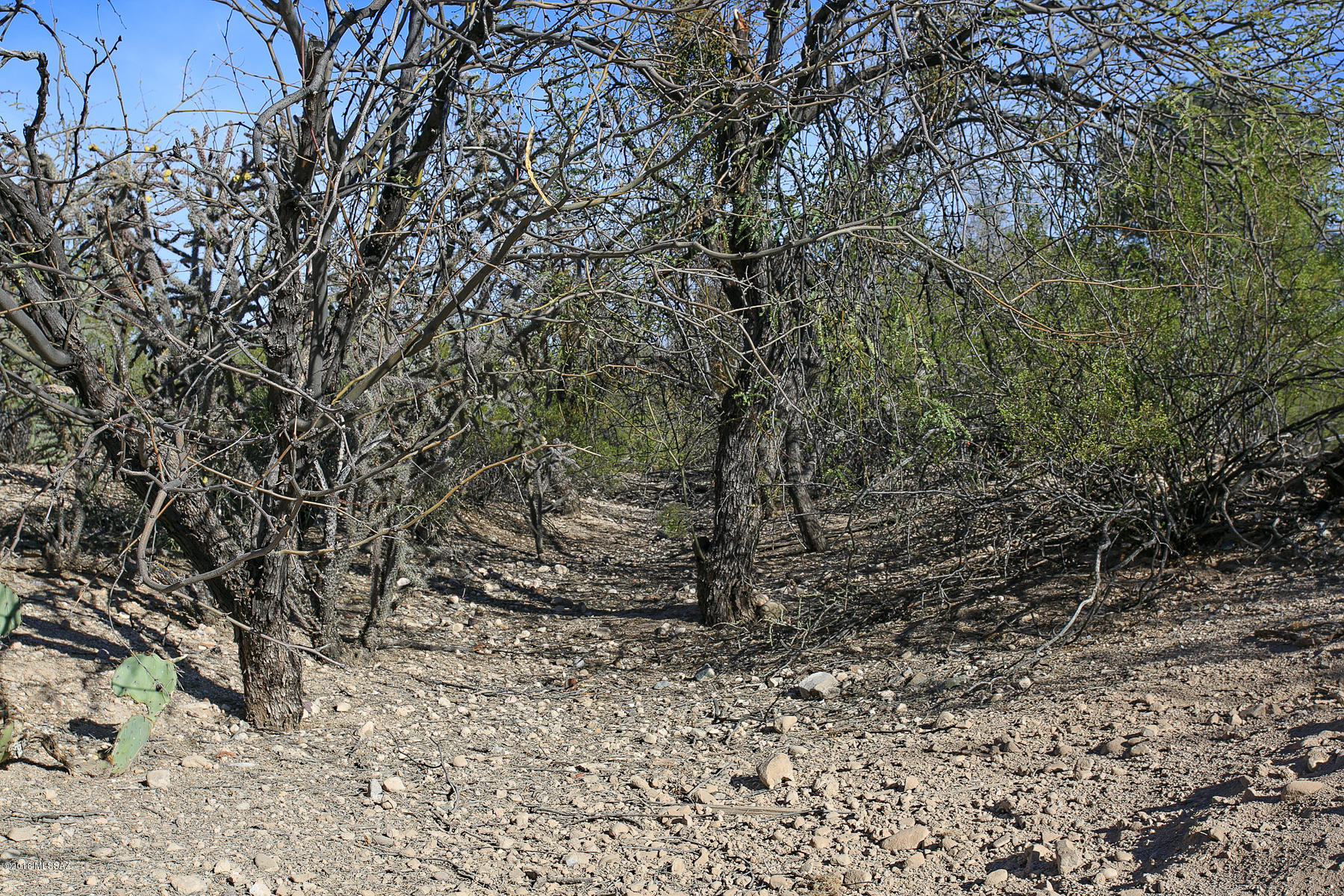 City Of Tucson - Residential